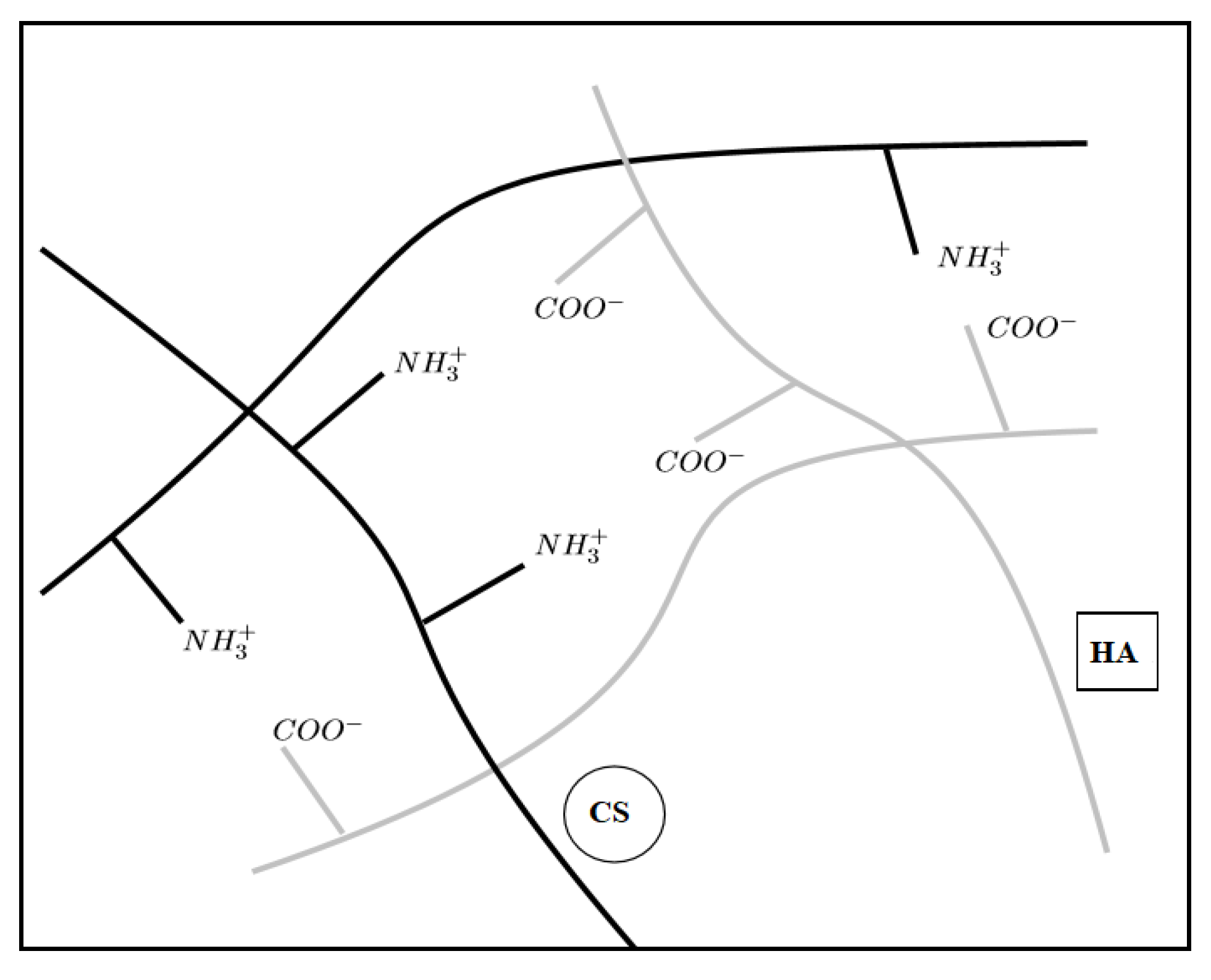 Ijms 21 02070 g001 Ijms 21 02070 g001