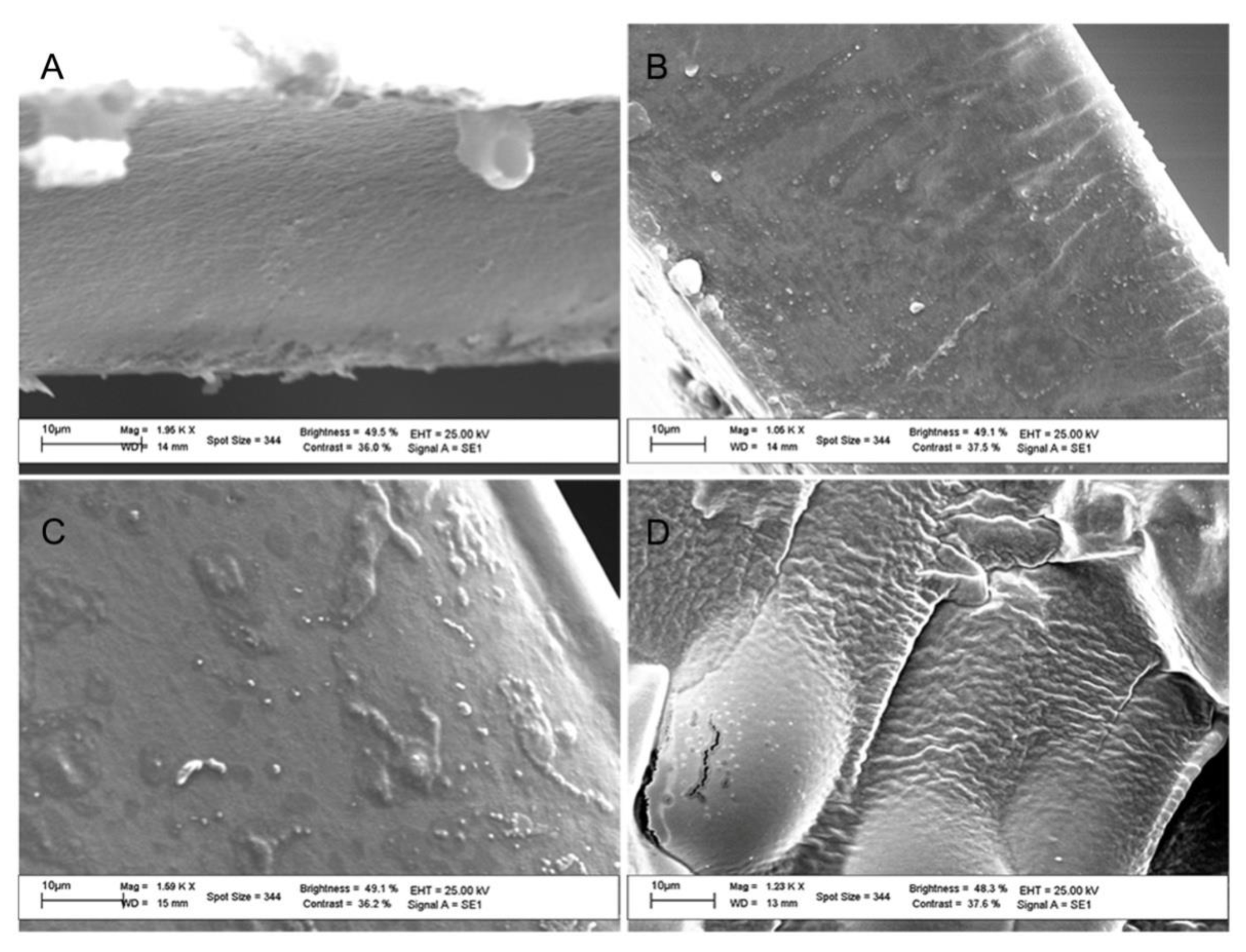 Ijms 21 02070 g002 Ijms 21 02070 g002