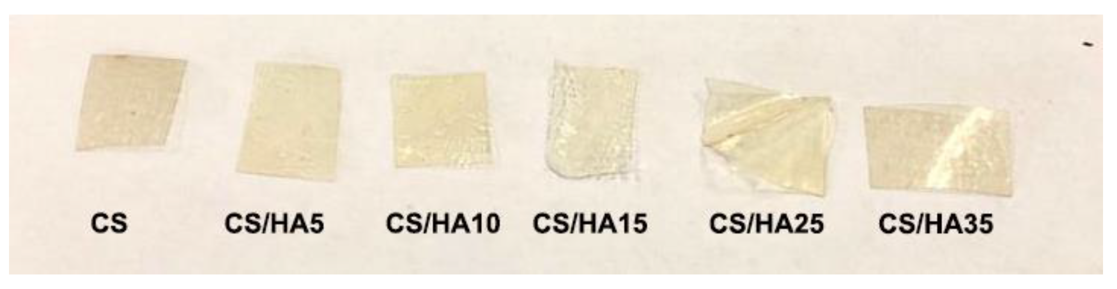 Ijms 21 02070 g004 Ijms 21 02070 g004