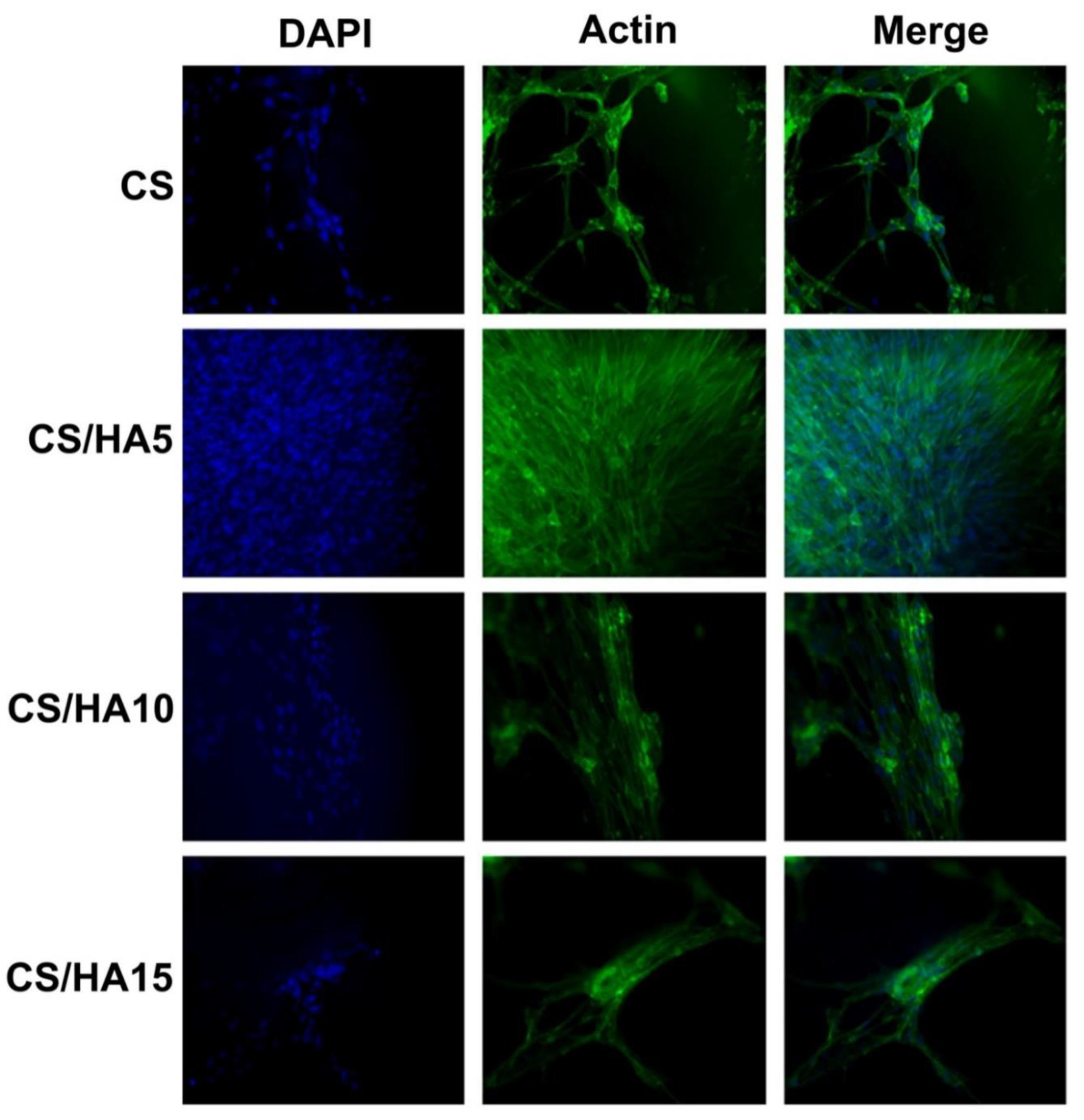 Ijms 21 02070 g009 Ijms 21 02070 g009
