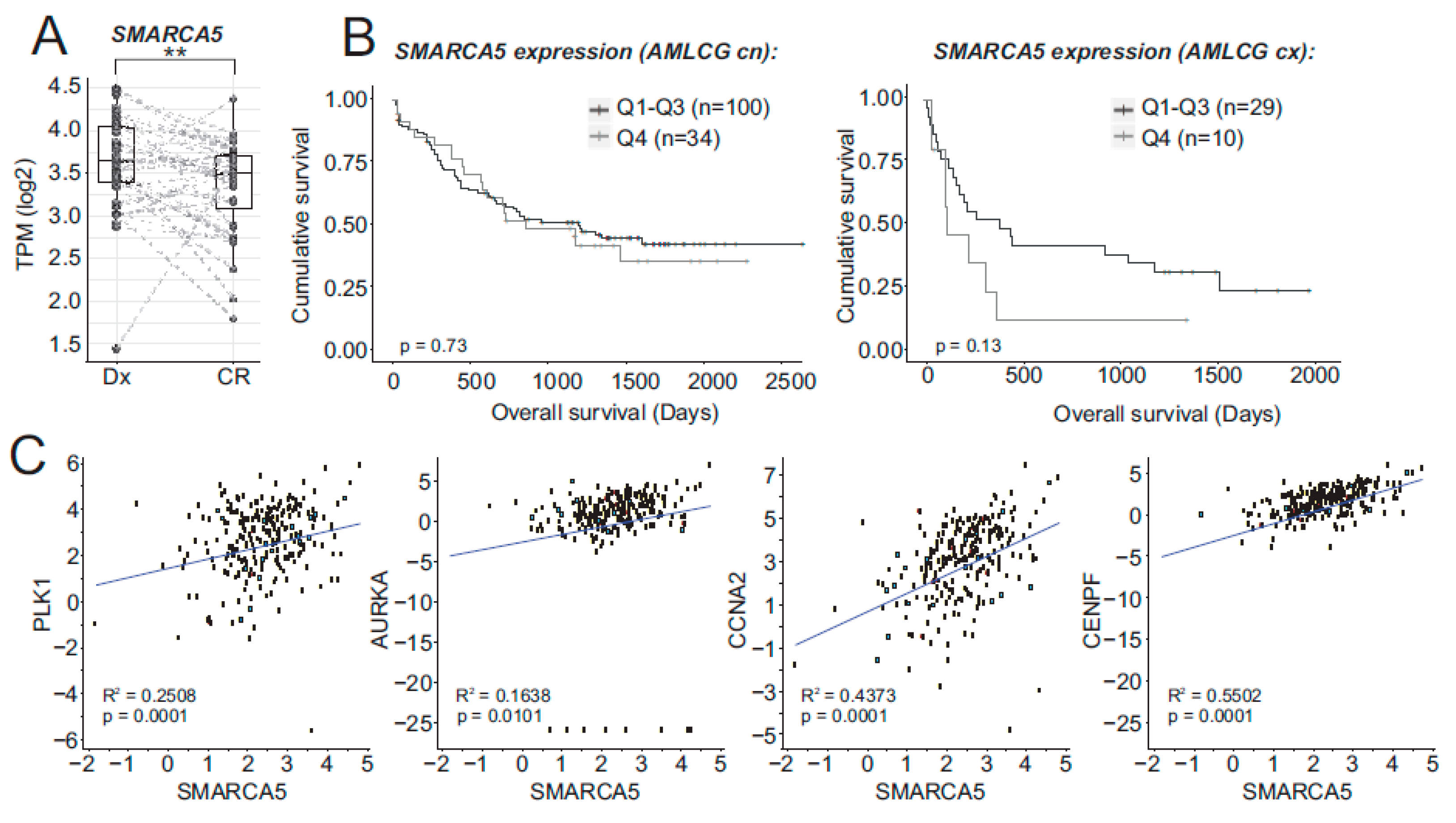 Ijms 21 02073 g001 Ijms 21 02073 g001
