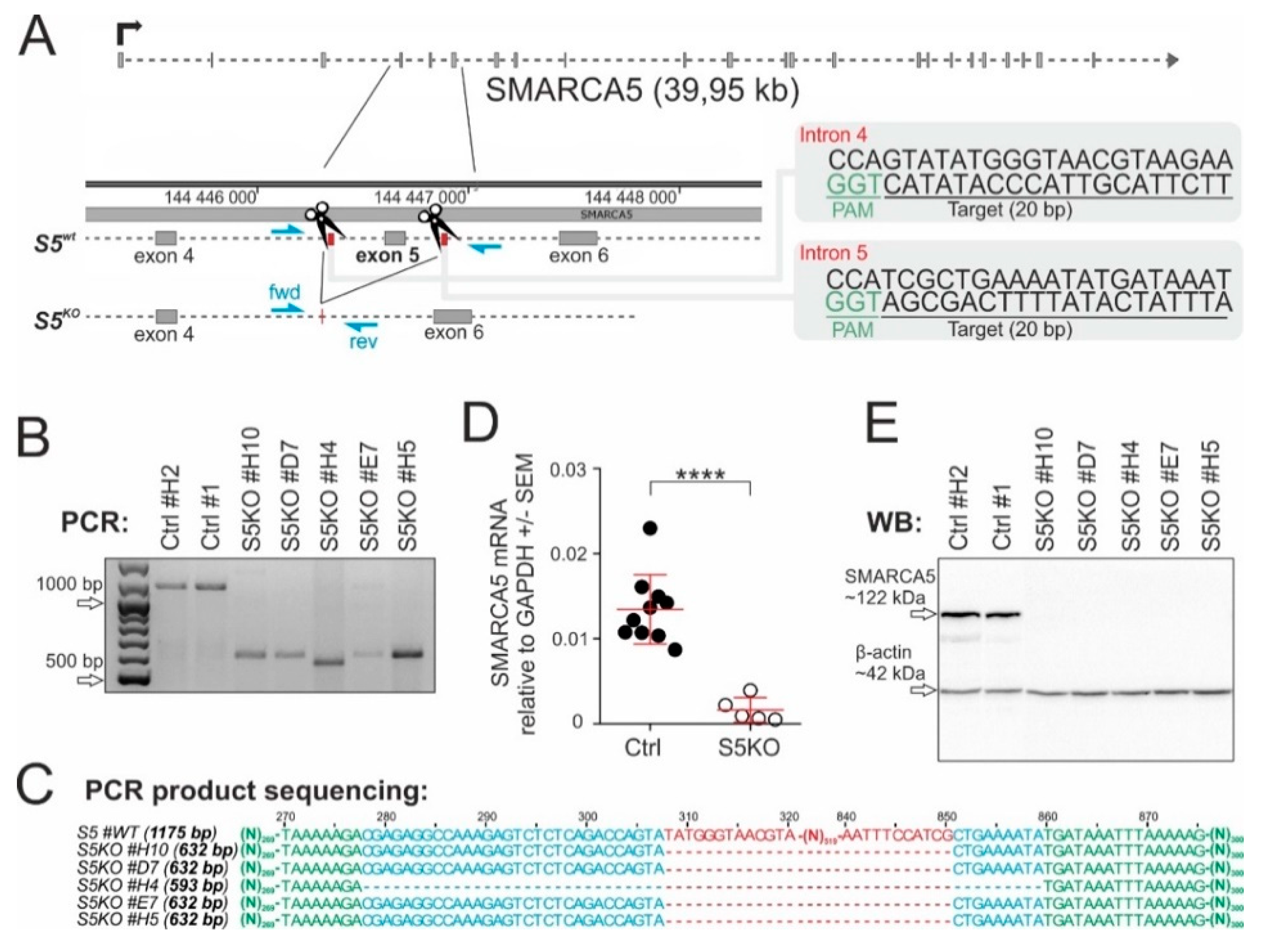 Ijms 21 02073 g002 Ijms 21 02073 g002