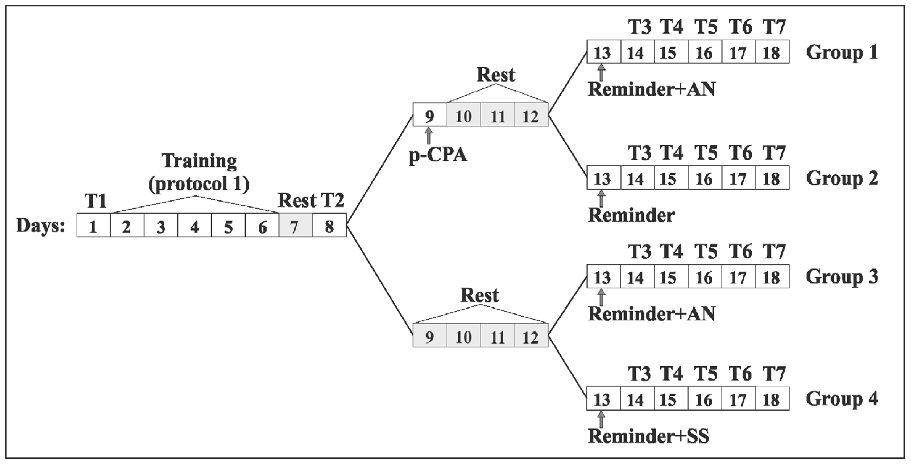Ijms 21 02087 g001 Ijms 21 02087 g001