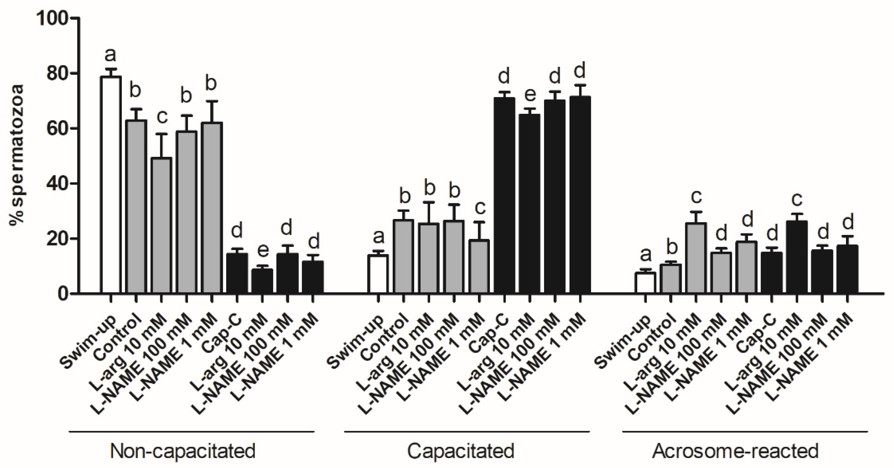 Ijms 21 02093 g004 Ijms 21 02093 g004