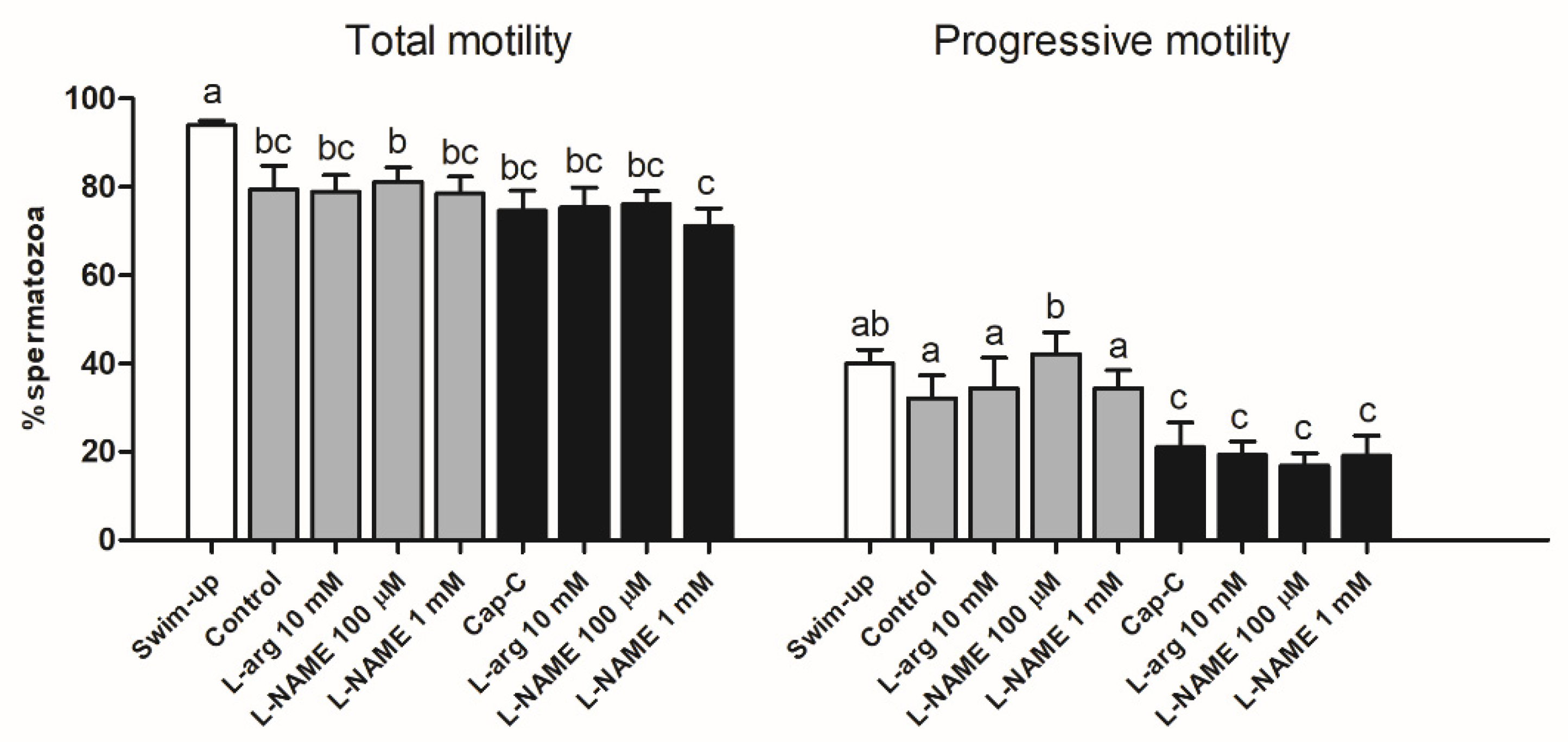 Ijms 21 02093 g005 Ijms 21 02093 g005