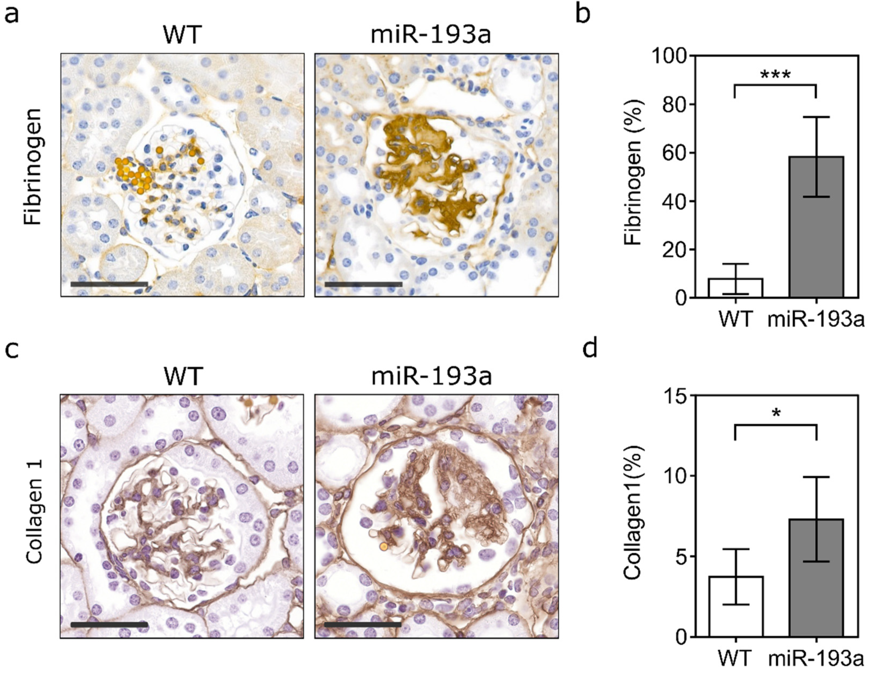 Ijms 21 02095 g002 Ijms 21 02095 g002