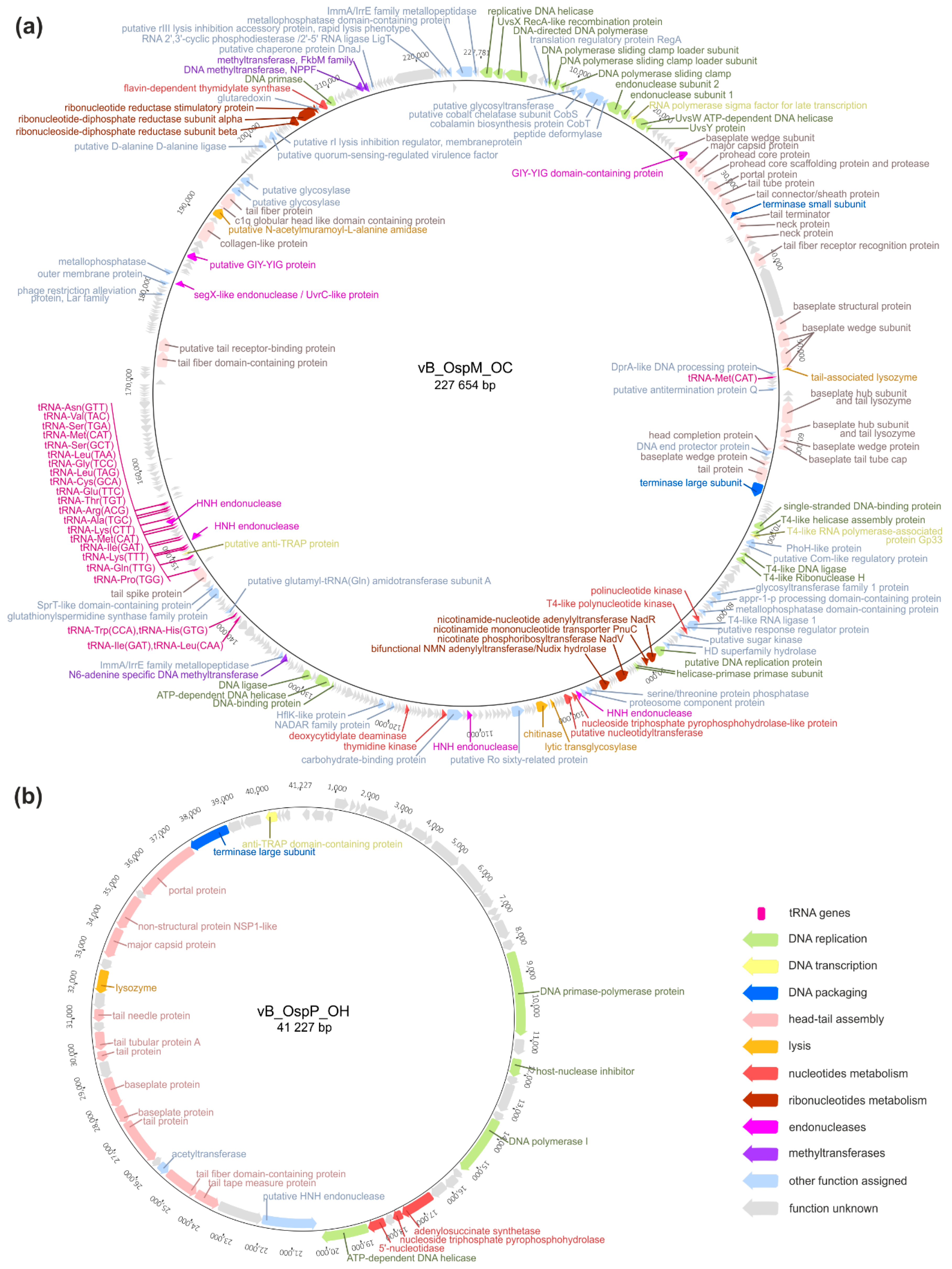 Ijms 21 02096 g002 Ijms 21 02096 g002