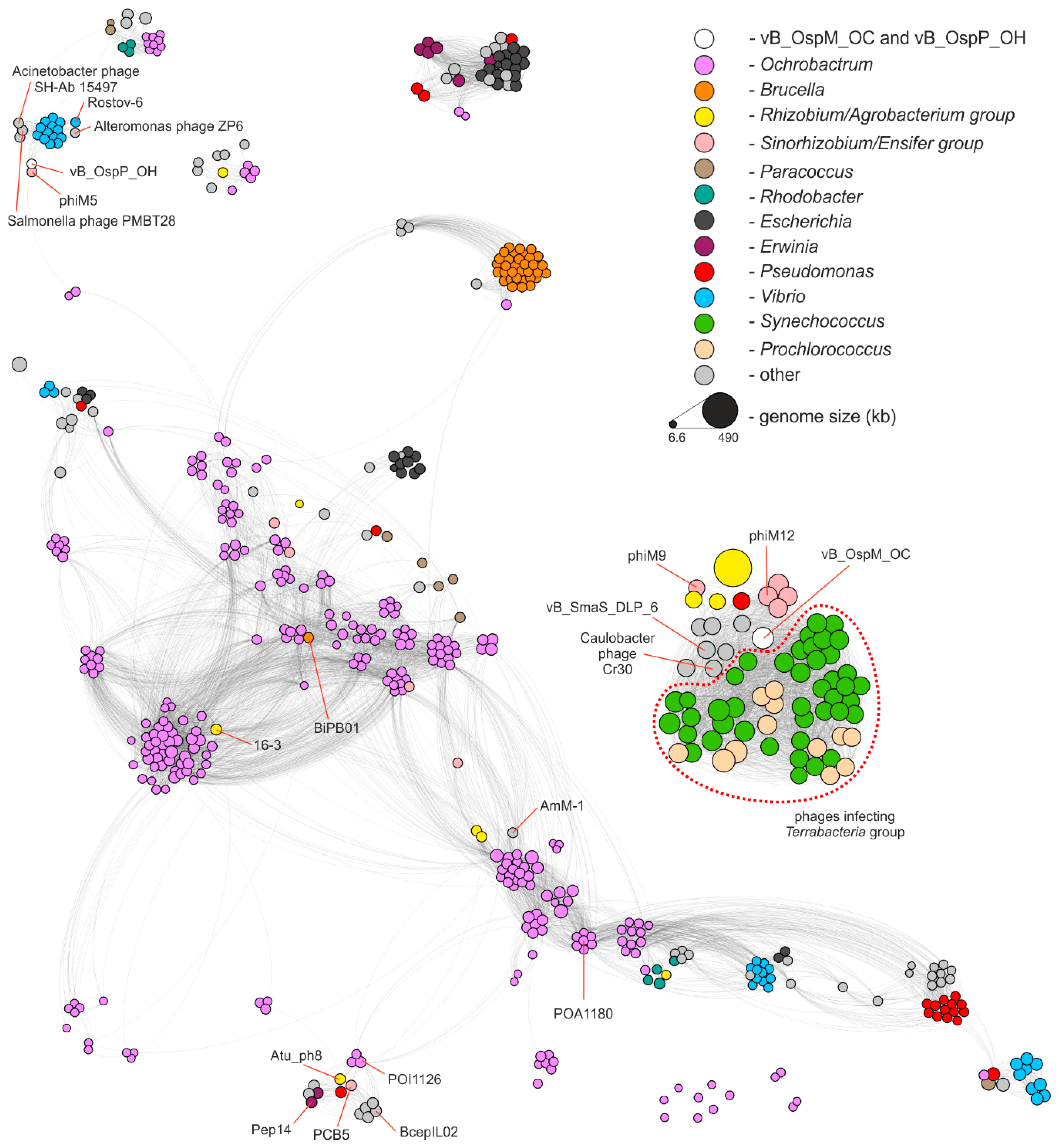 Ijms 21 02096 g003 Ijms 21 02096 g003