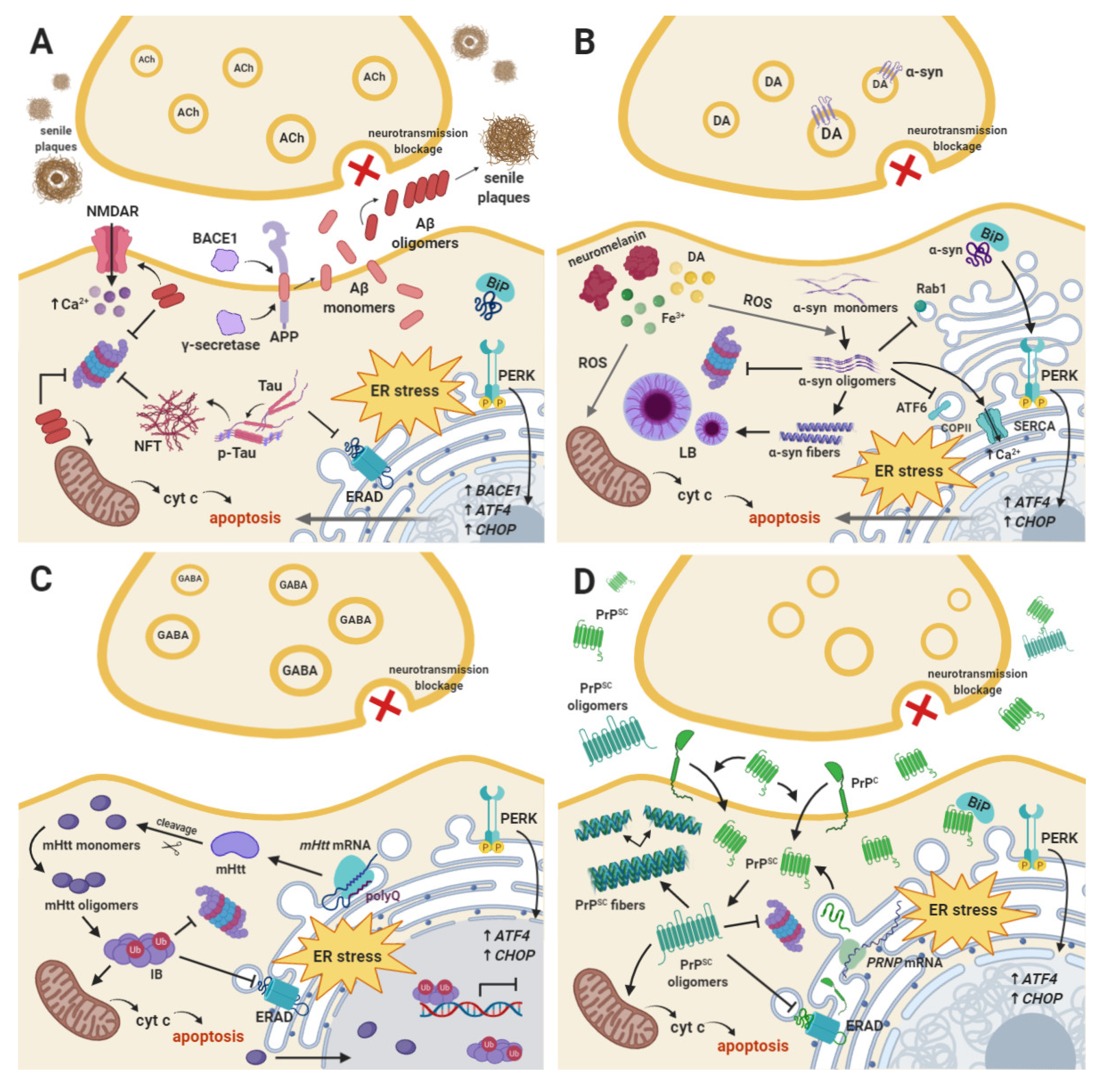 Ijms 21 02108 g001 Ijms 21 02108 g001