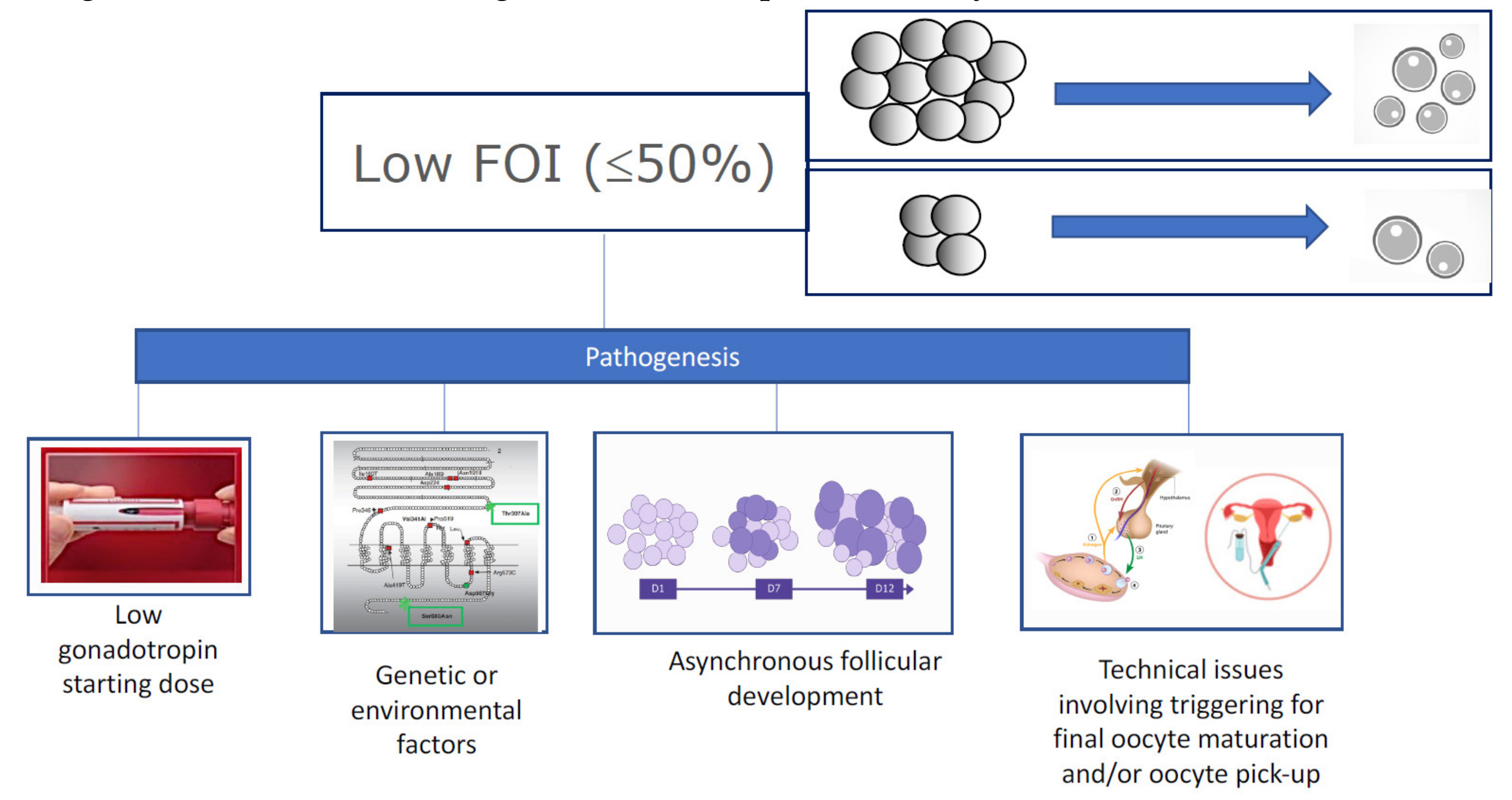 Ijms 21 02110 g002 Ijms 21 02110 g002