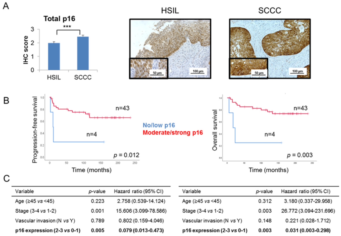 Ijms 21 02125 g001 Ijms 21 02125 g001