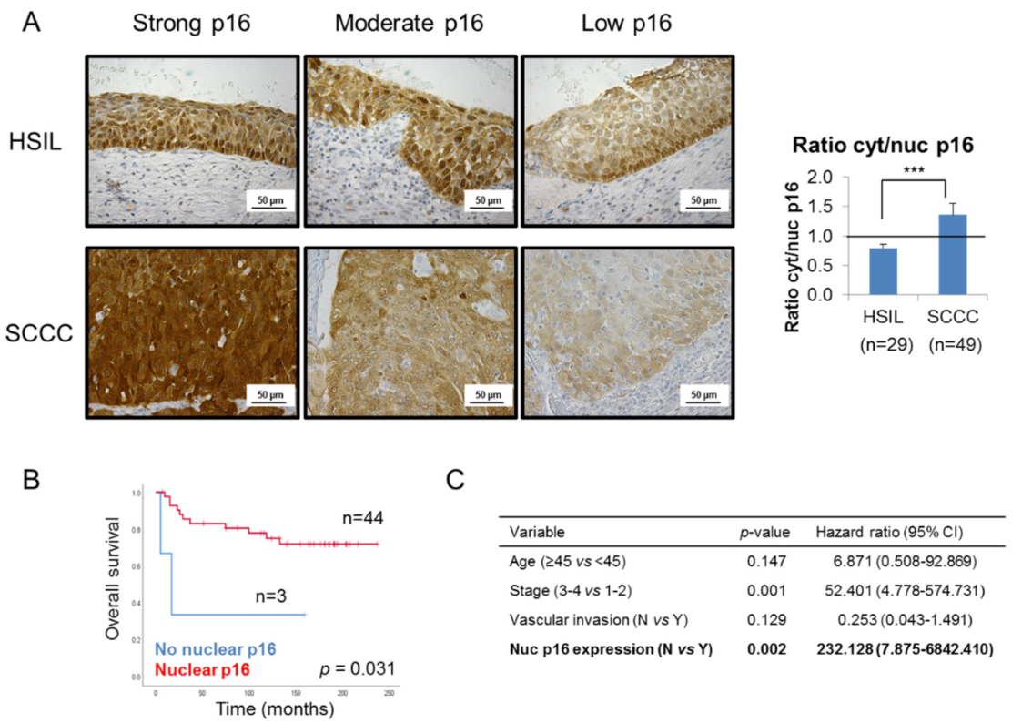 Ijms 21 02125 g002 Ijms 21 02125 g002