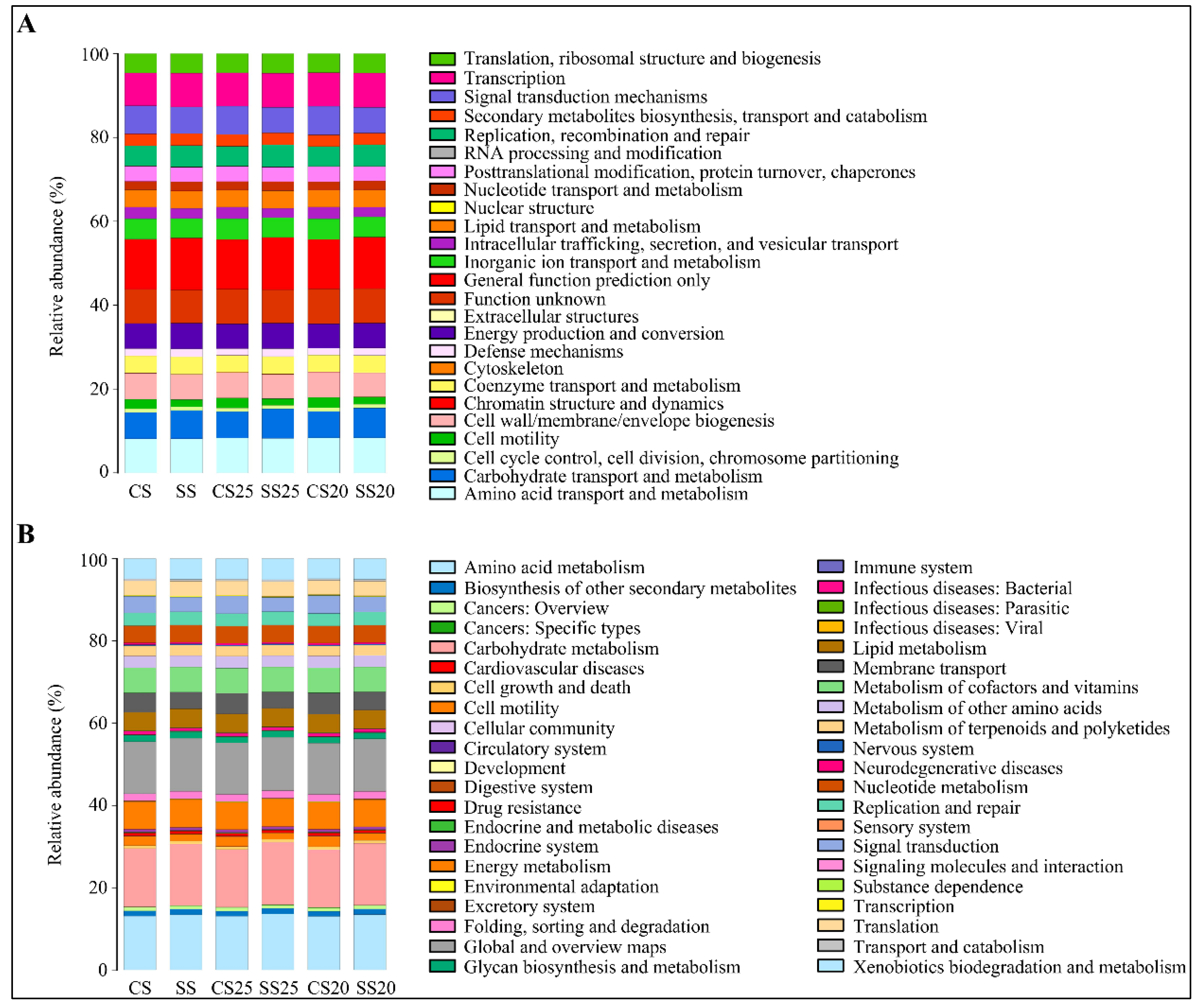 Ijms 21 02131 g006 Ijms 21 02131 g006