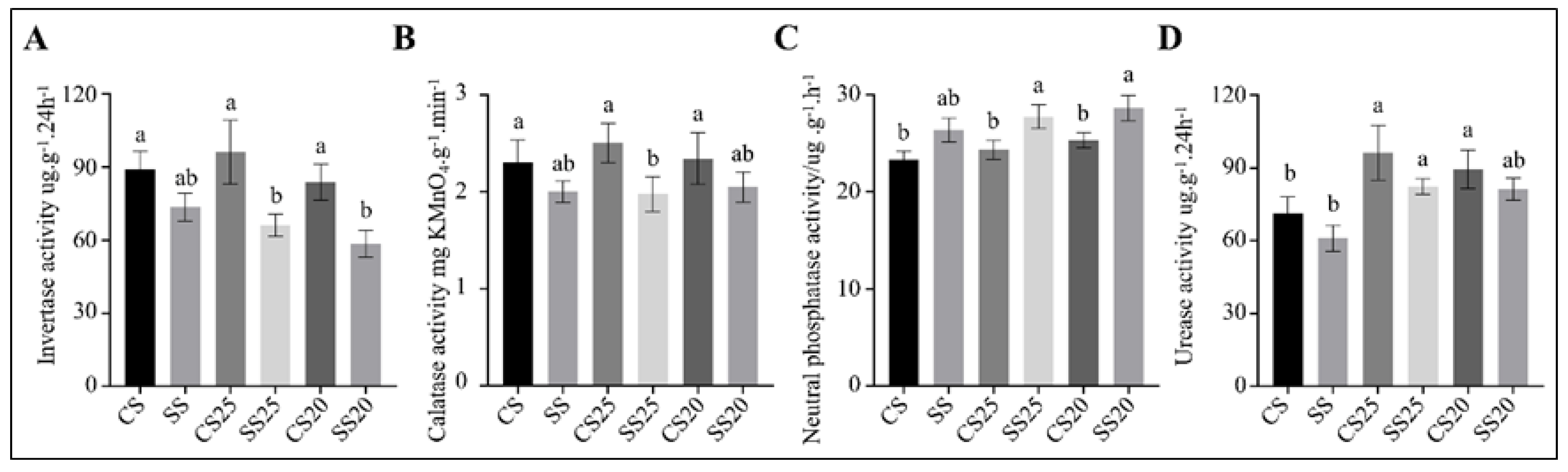 Ijms 21 02131 g007 Ijms 21 02131 g007