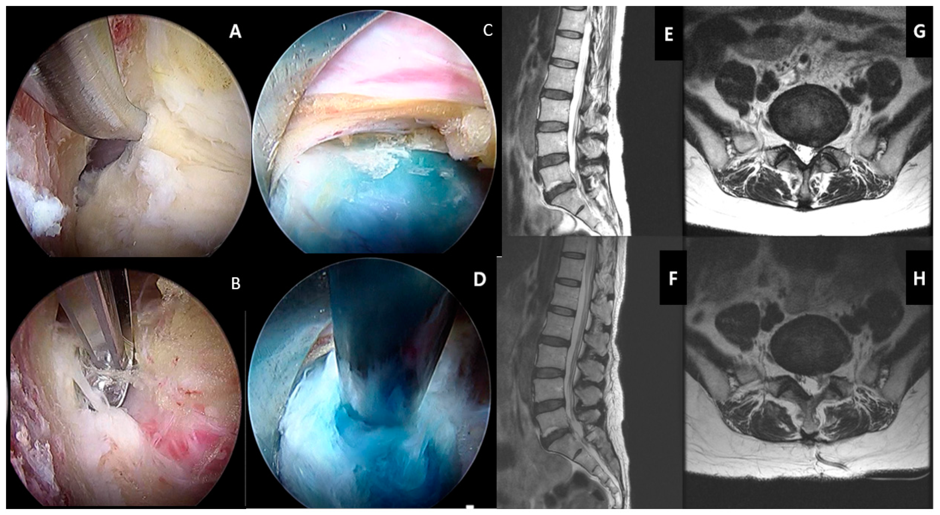 Ijms 21 02135 g006 Ijms 21 02135 g006