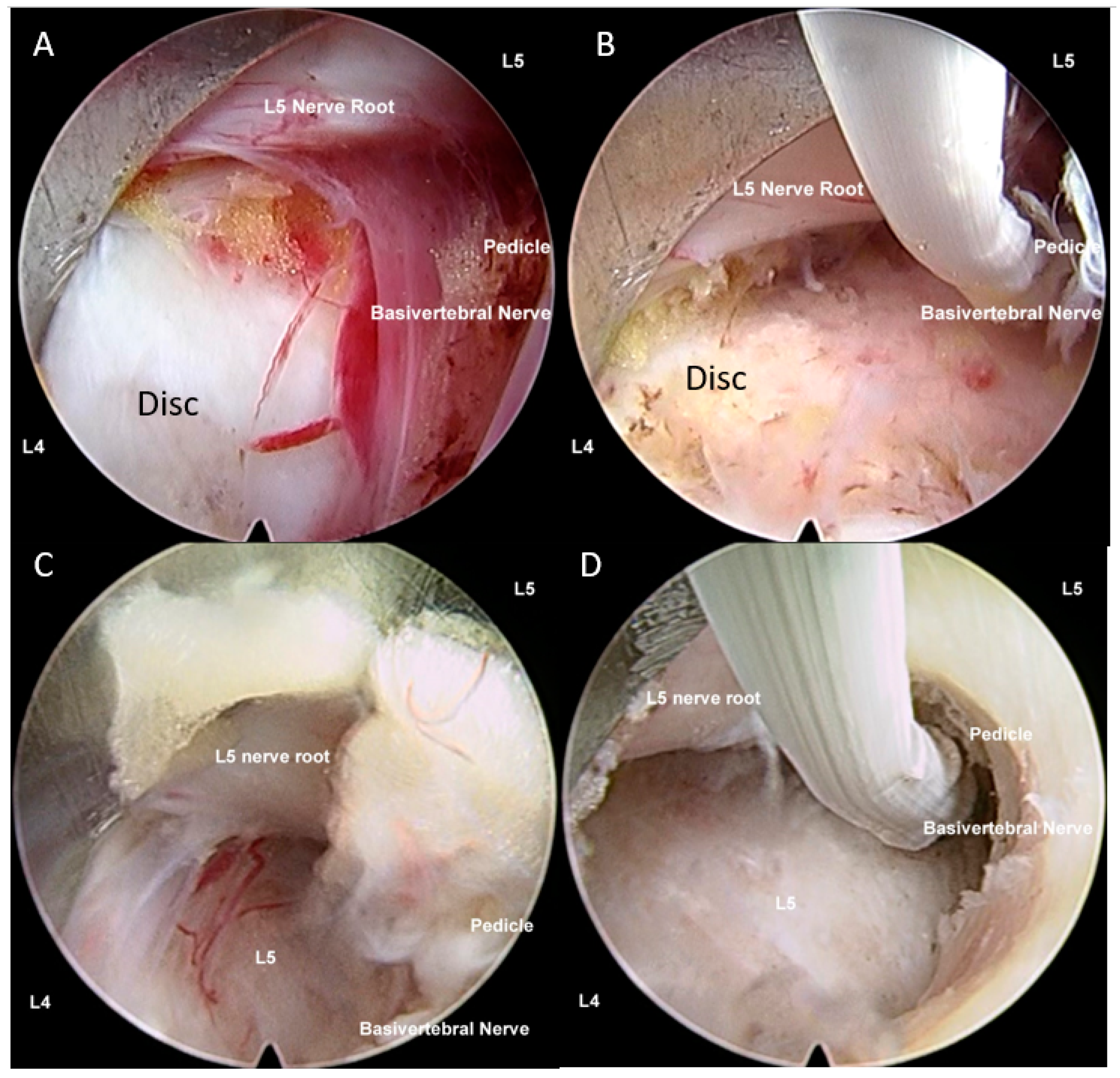Ijms 21 02135 g008 Ijms 21 02135 g008