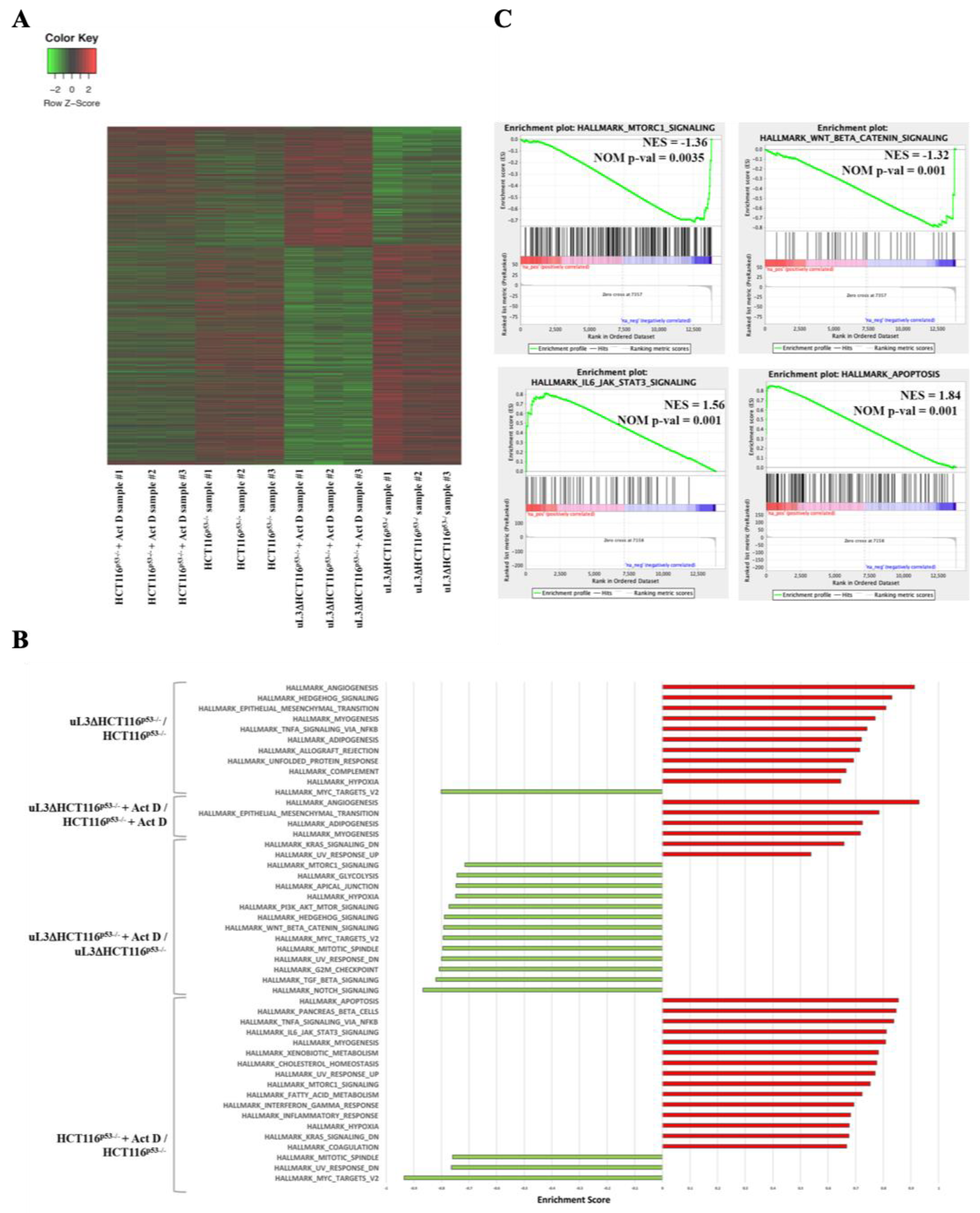 Ijms 21 02143 g003 Ijms 21 02143 g003
