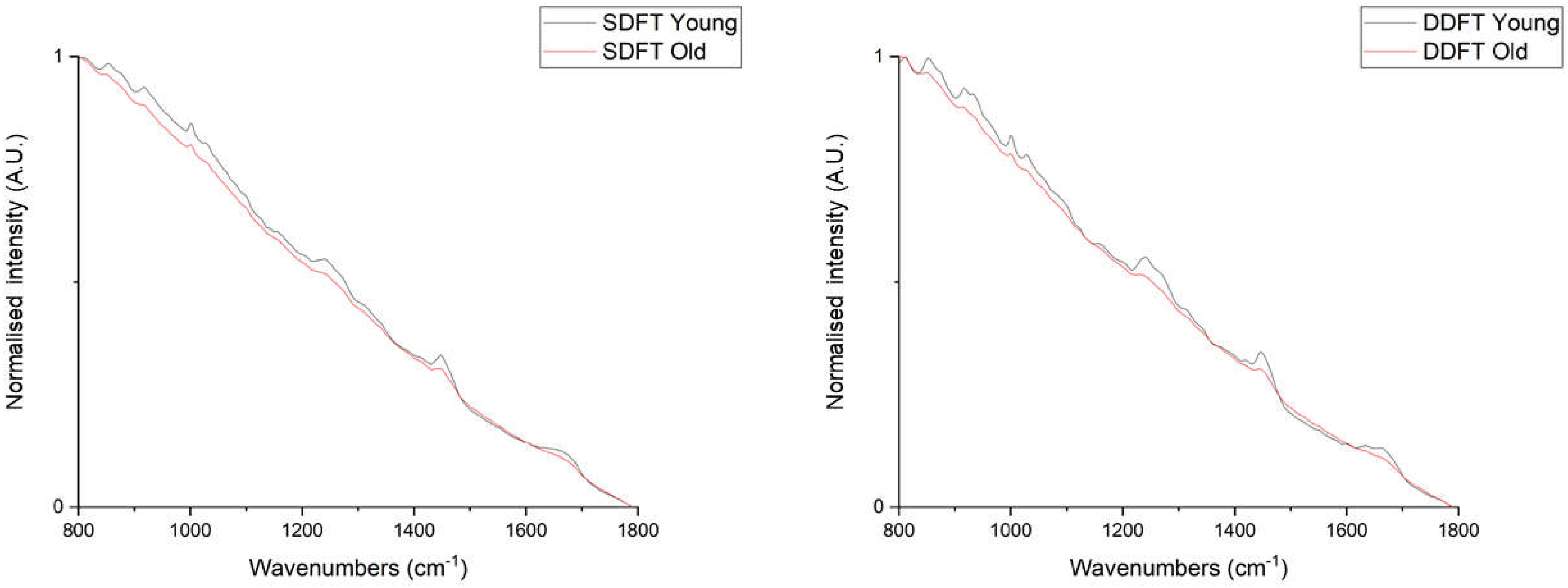 Ijms 21 02150 g002 Ijms 21 02150 g002