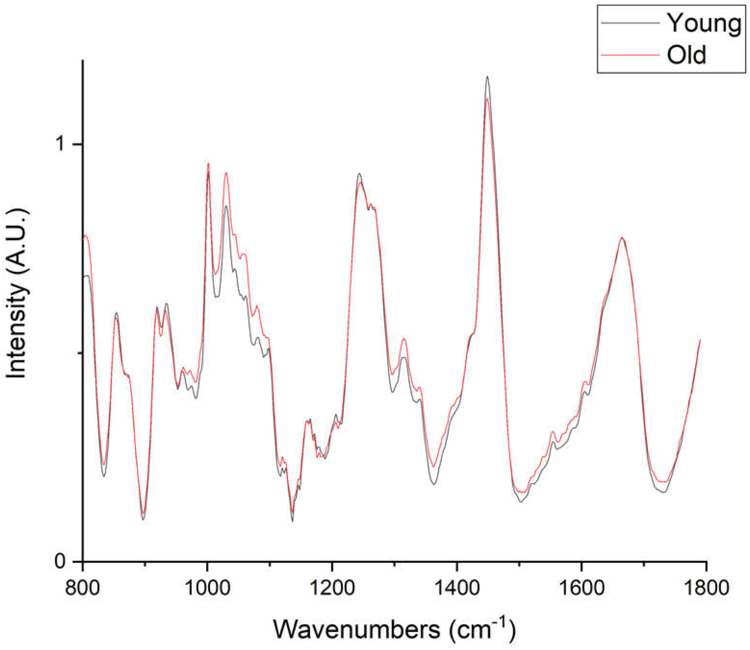 Ijms 21 02150 g004 Ijms 21 02150 g004
