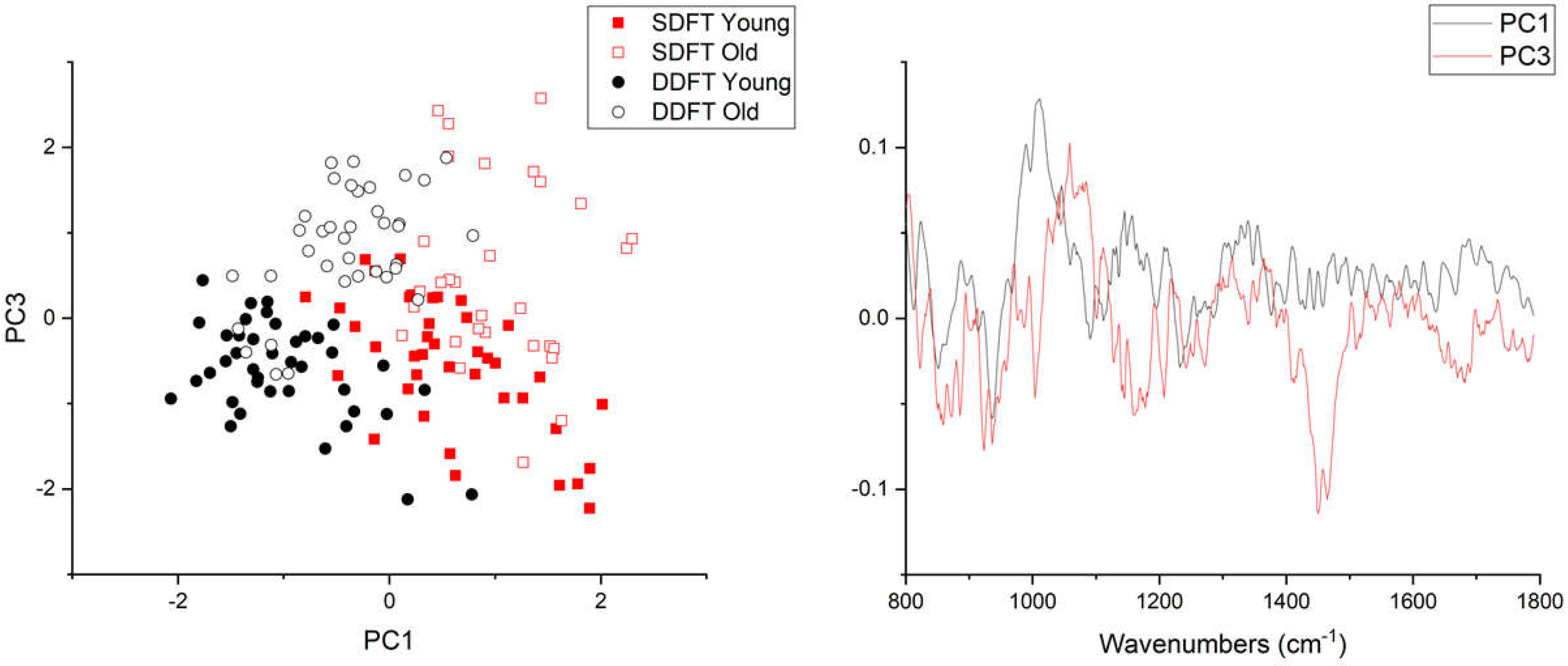 Ijms 21 02150 g005 Ijms 21 02150 g005