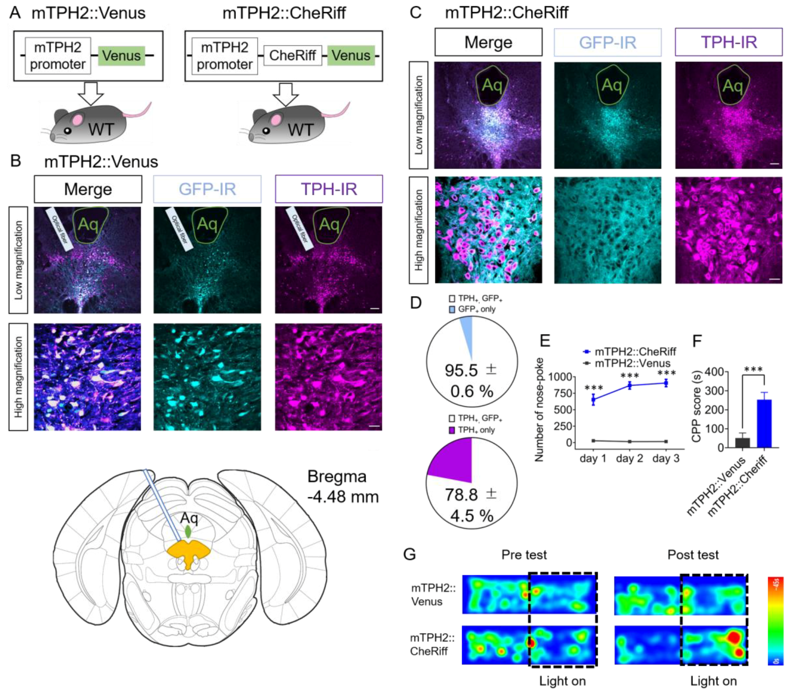 Ijms 21 02160 g001 Ijms 21 02160 g001