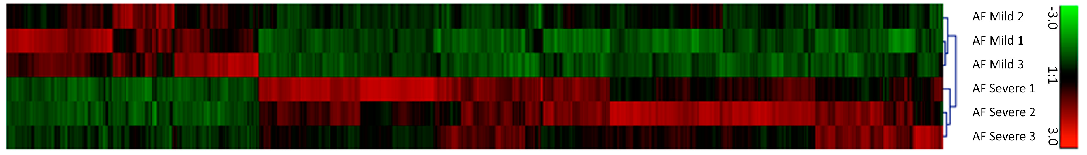 Ijms 21 02165 g001 Ijms 21 02165 g001