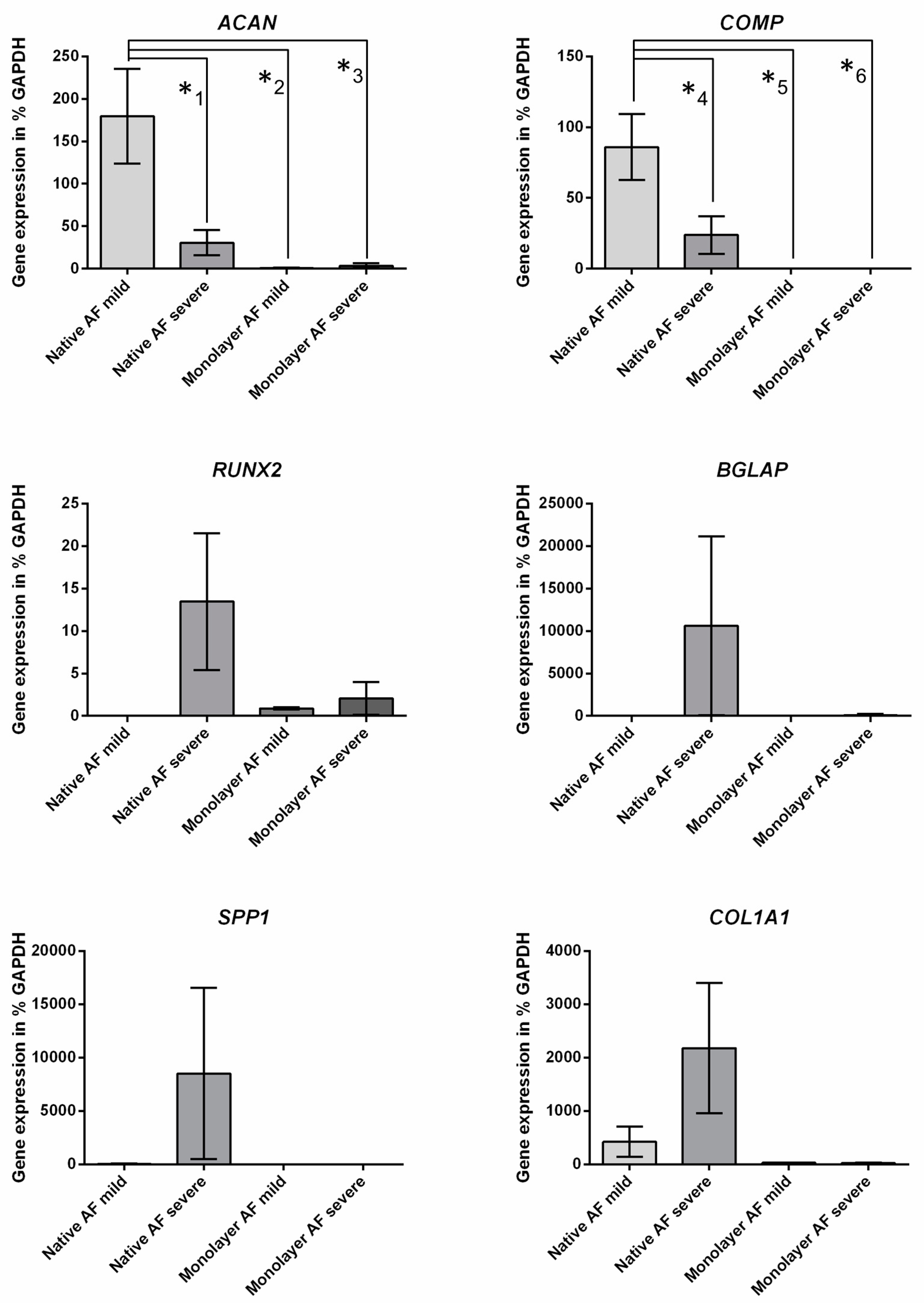 Ijms 21 02165 g002 Ijms 21 02165 g002