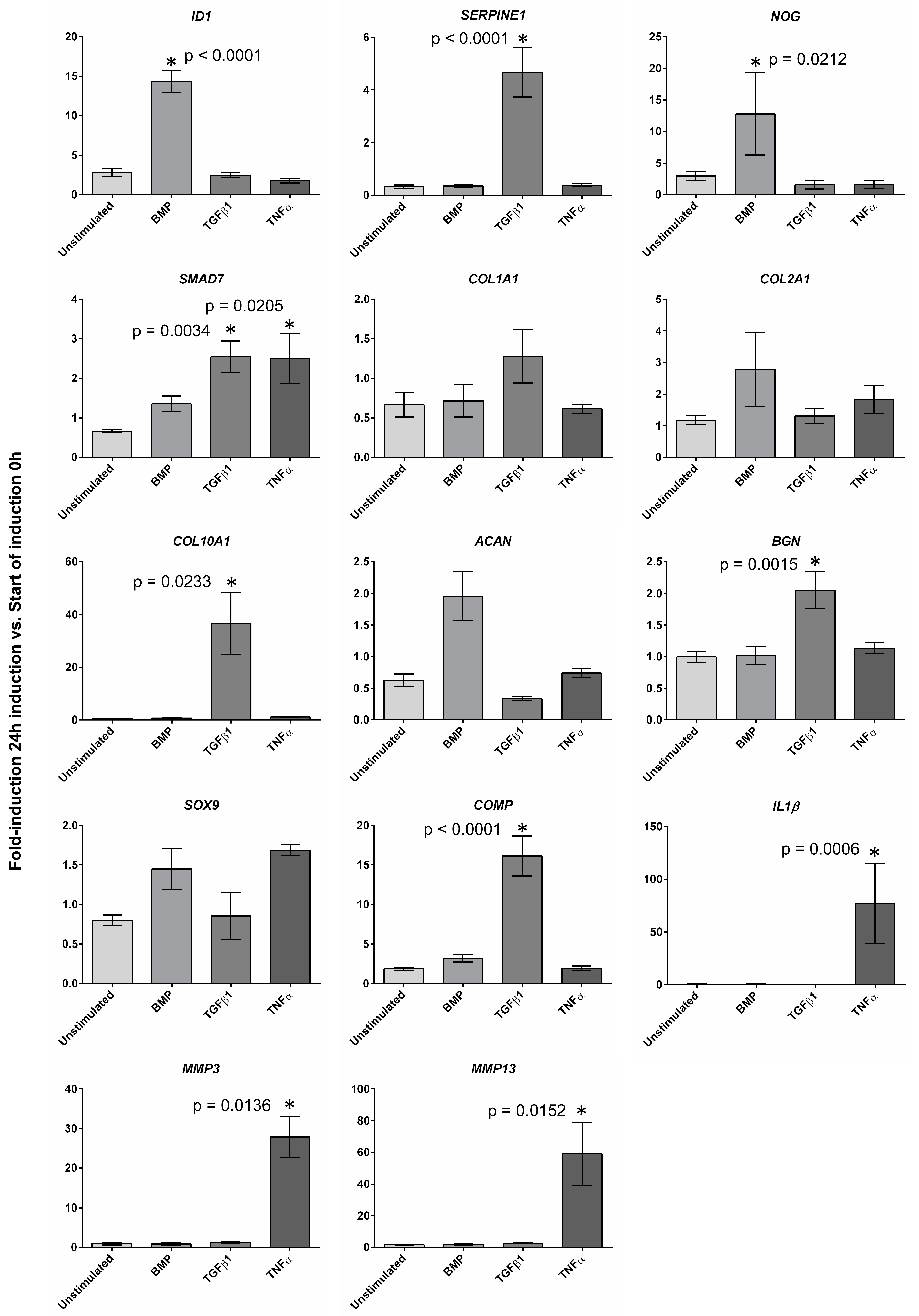 Ijms 21 02165 g004 Ijms 21 02165 g004