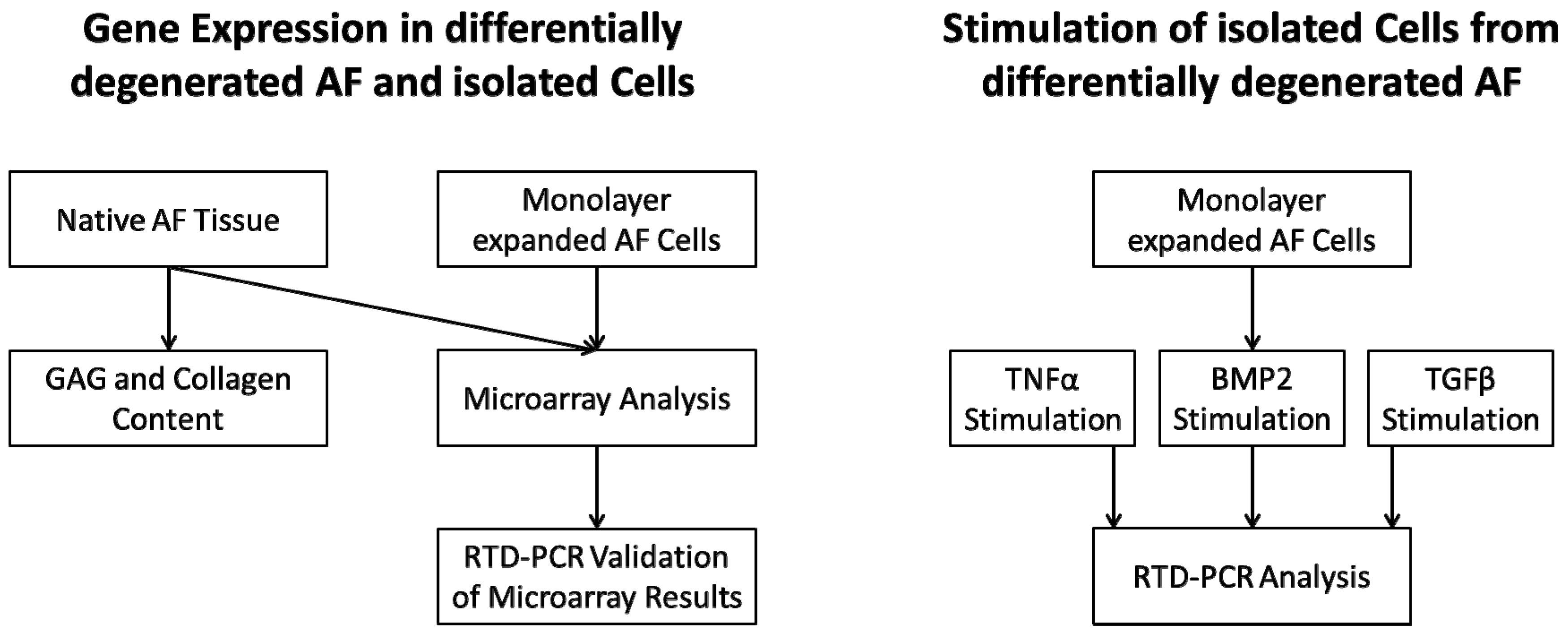 Ijms 21 02165 g006 Ijms 21 02165 g006