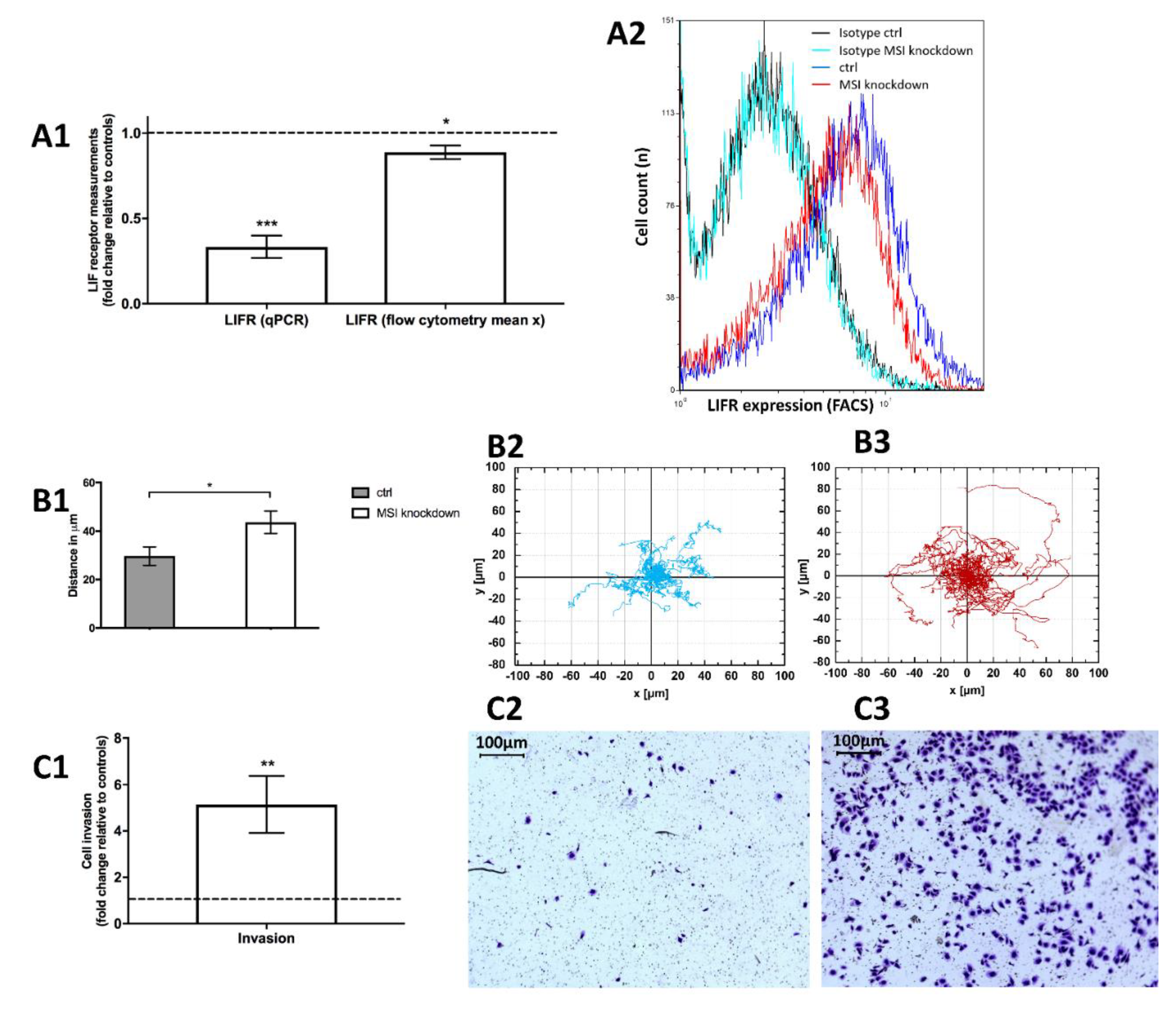Ijms 21 02169 g005 Ijms 21 02169 g005