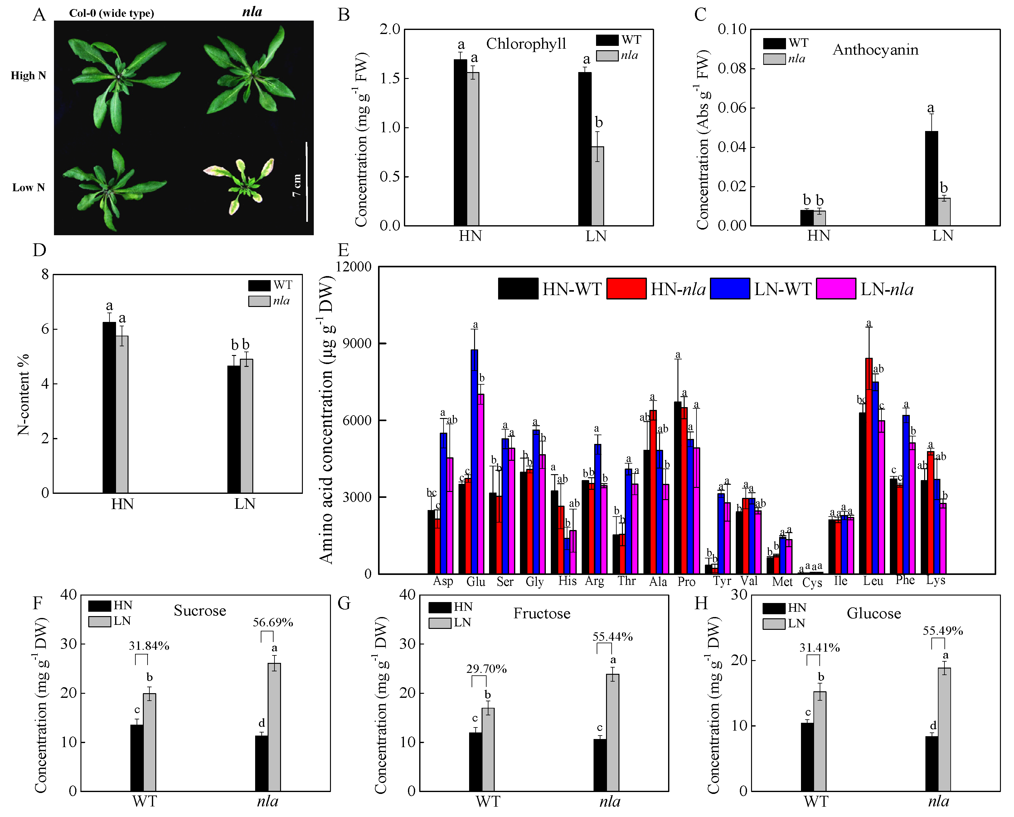 Ijms 21 02171 g001 Ijms 21 02171 g001