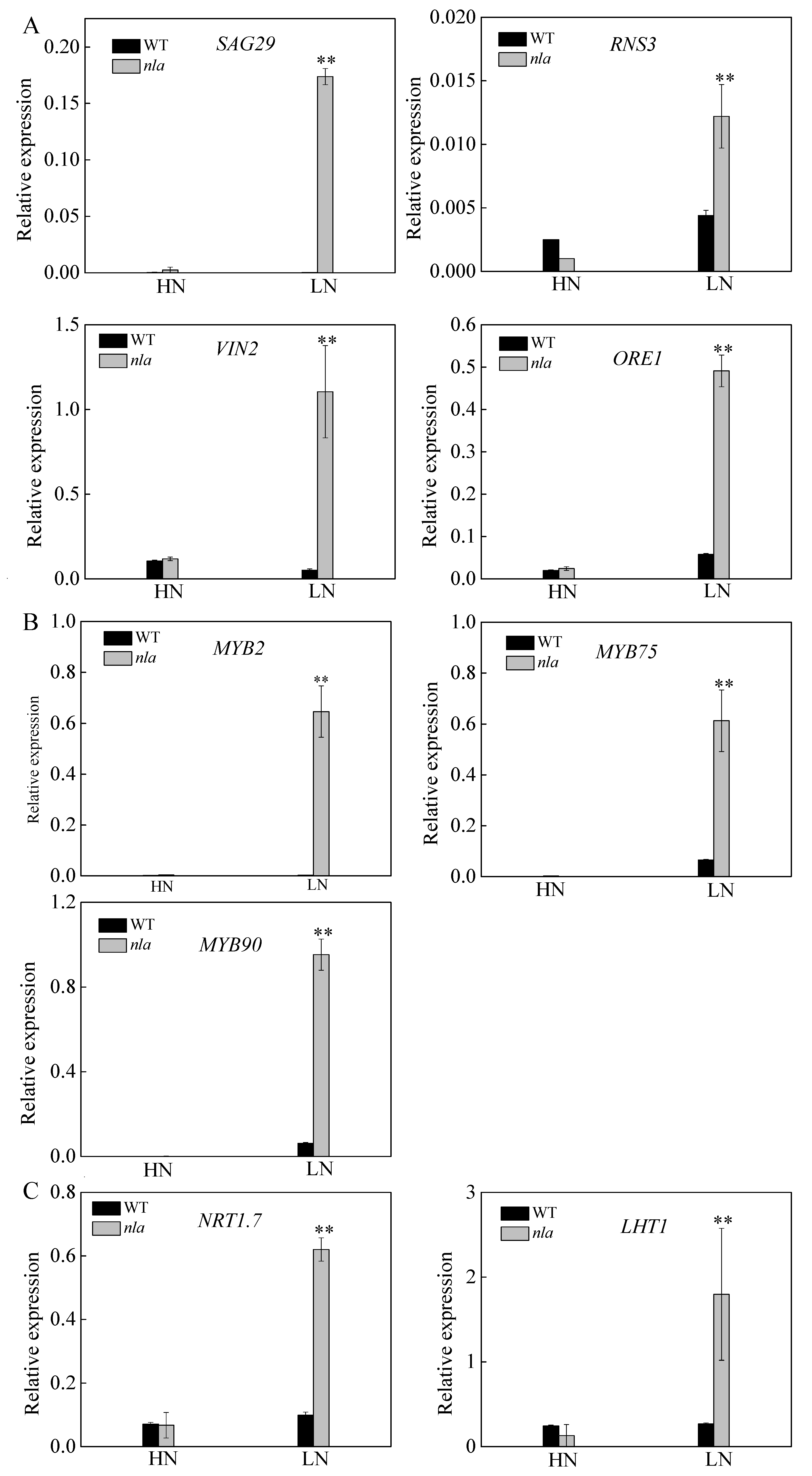 Ijms 21 02171 g004 Ijms 21 02171 g004