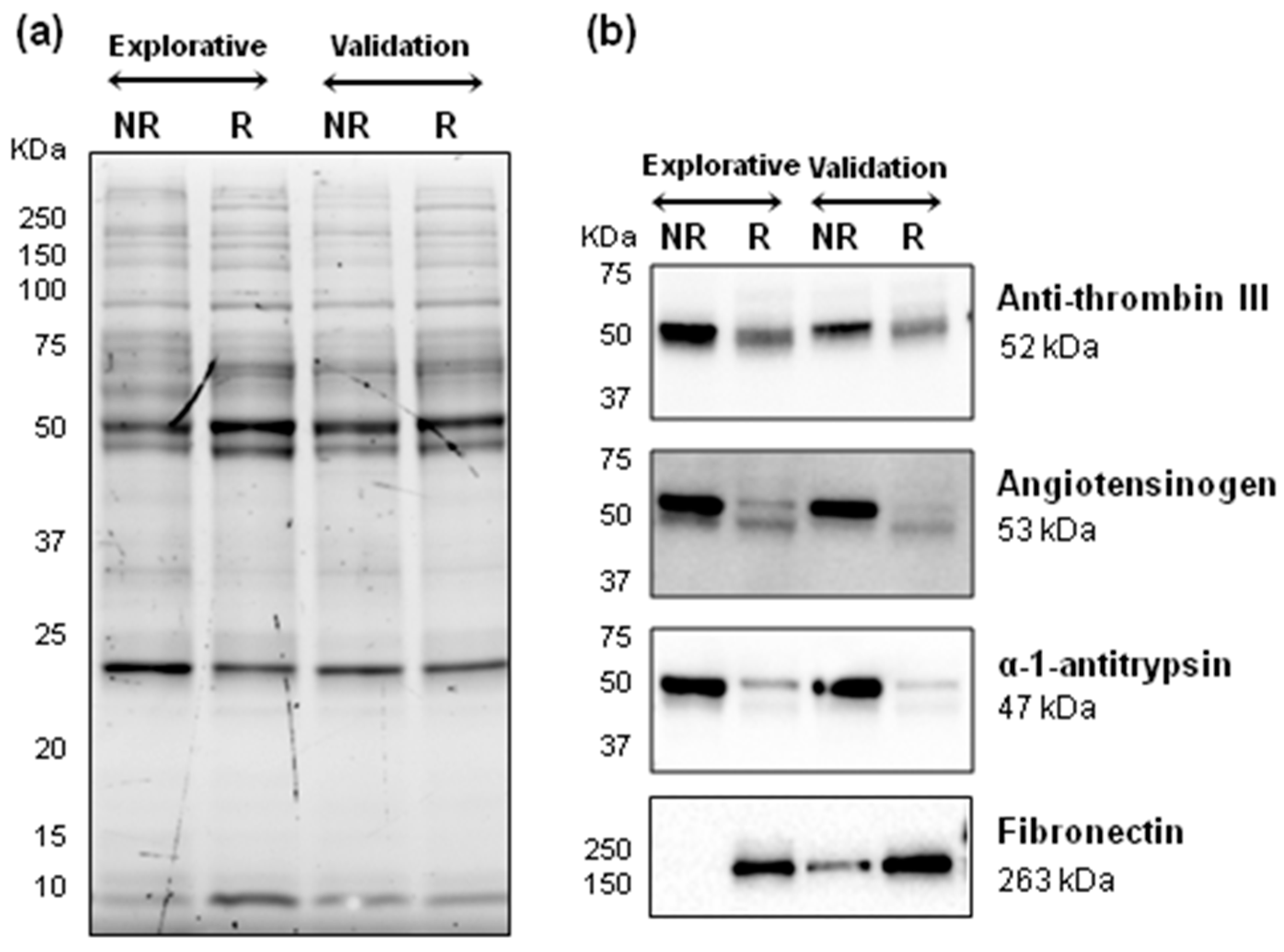 Ijms 21 02185 g001 Ijms 21 02185 g001
