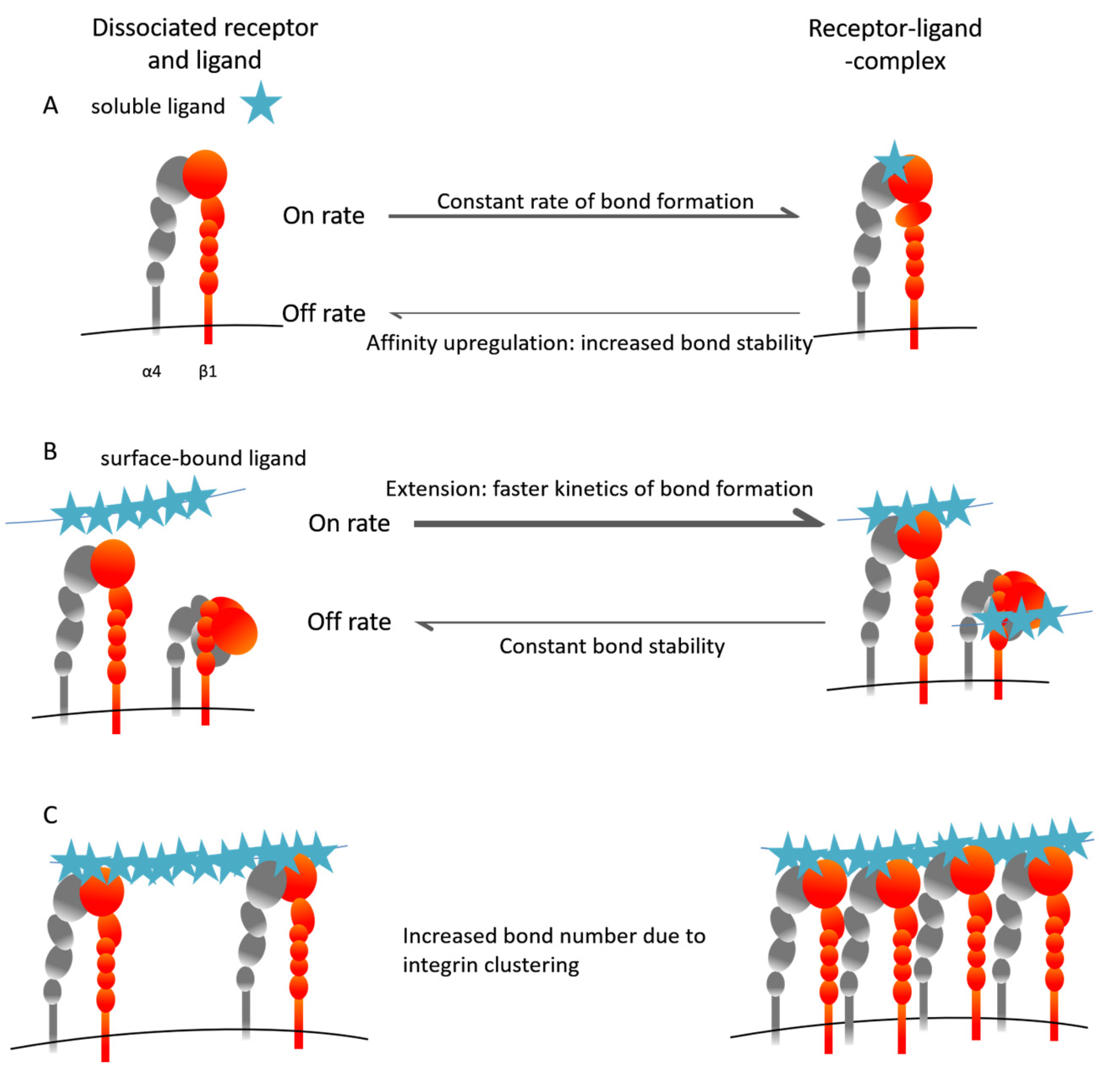 Ijms 21 02206 sch004