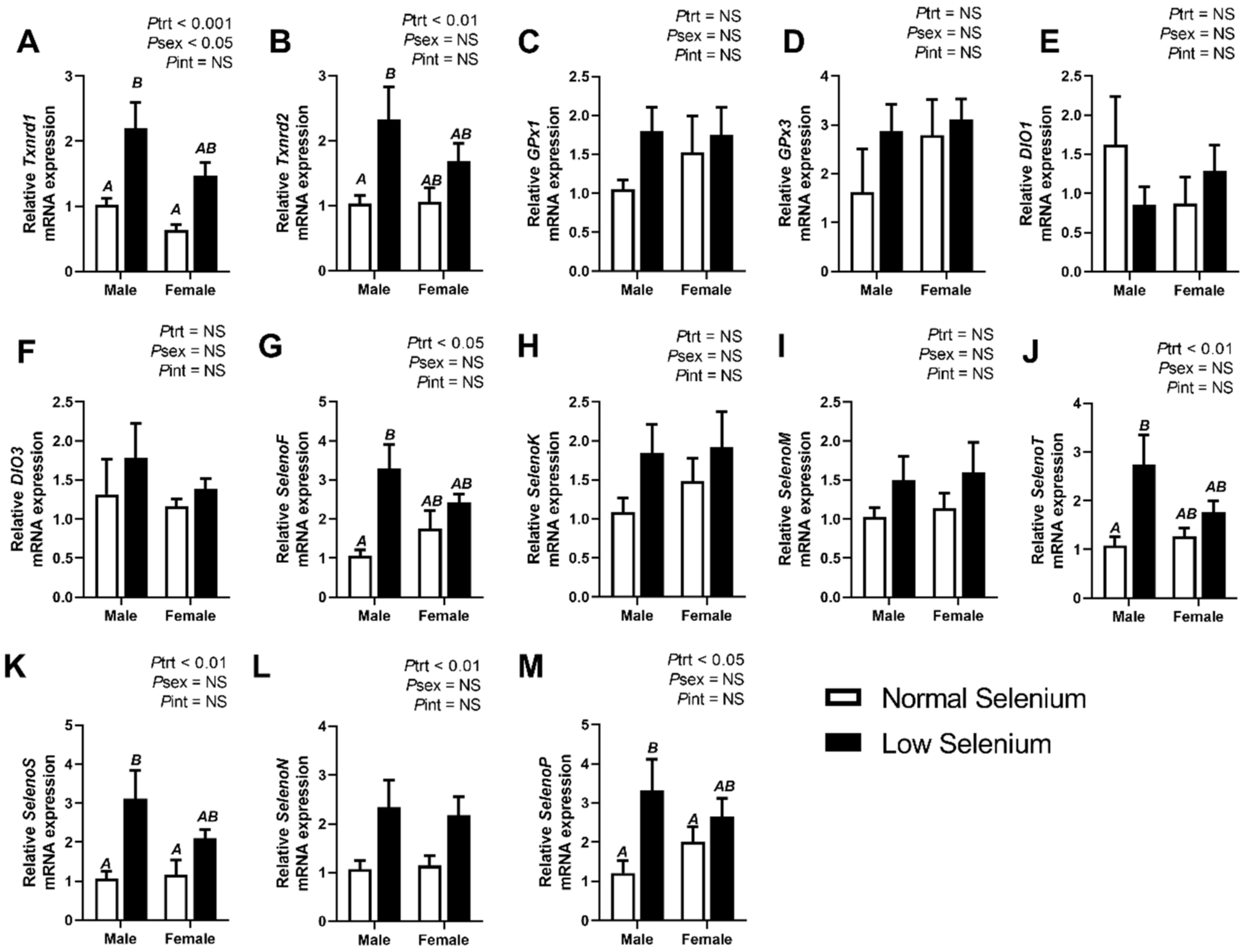 Ijms 21 02210 g001 Ijms 21 02210 g001