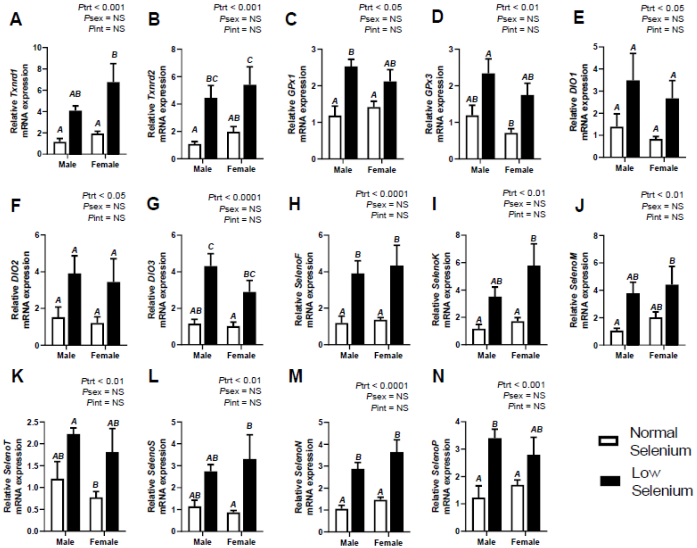 Ijms 21 02210 g002 Ijms 21 02210 g002