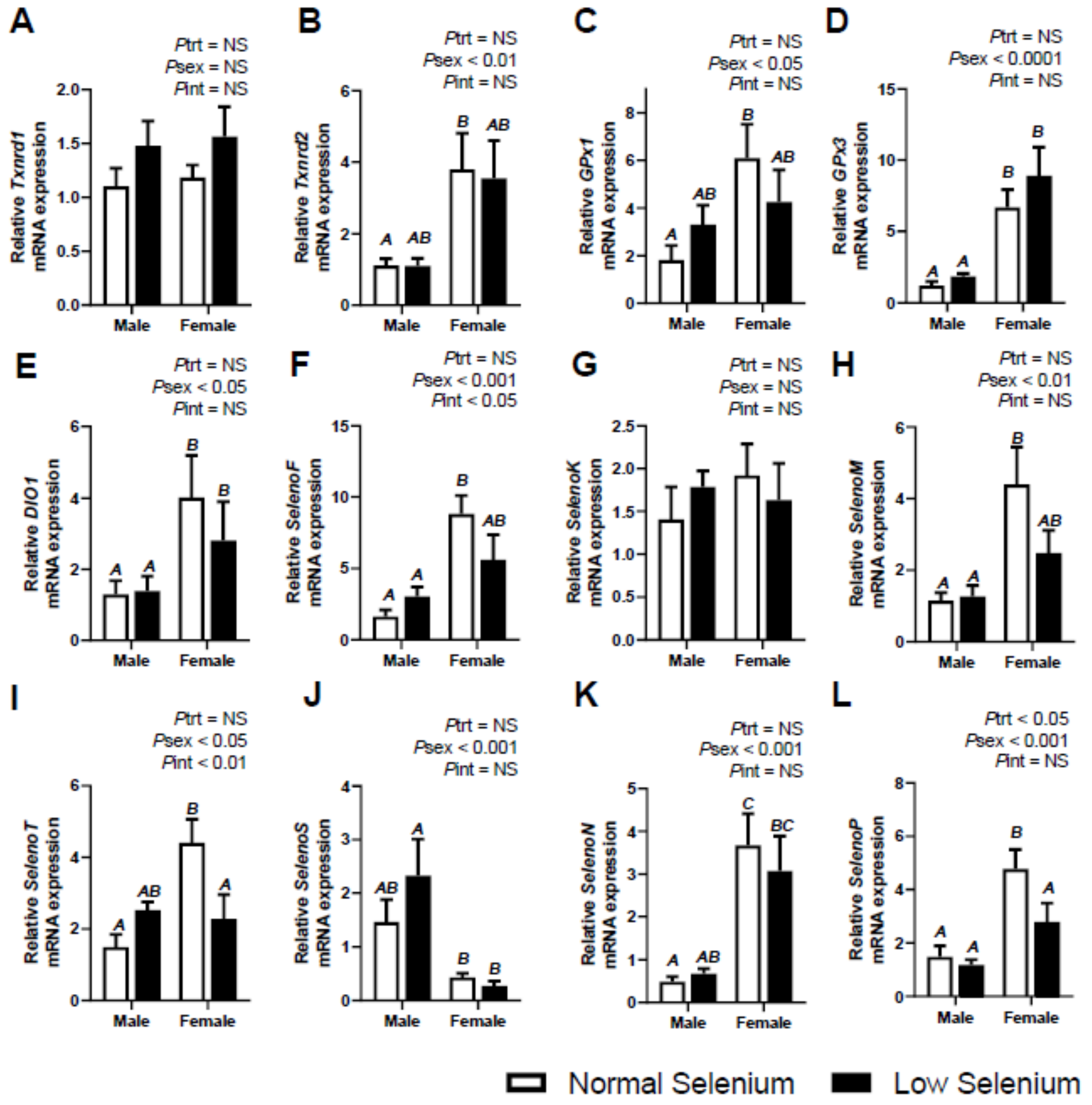 Ijms 21 02210 g004 Ijms 21 02210 g004
