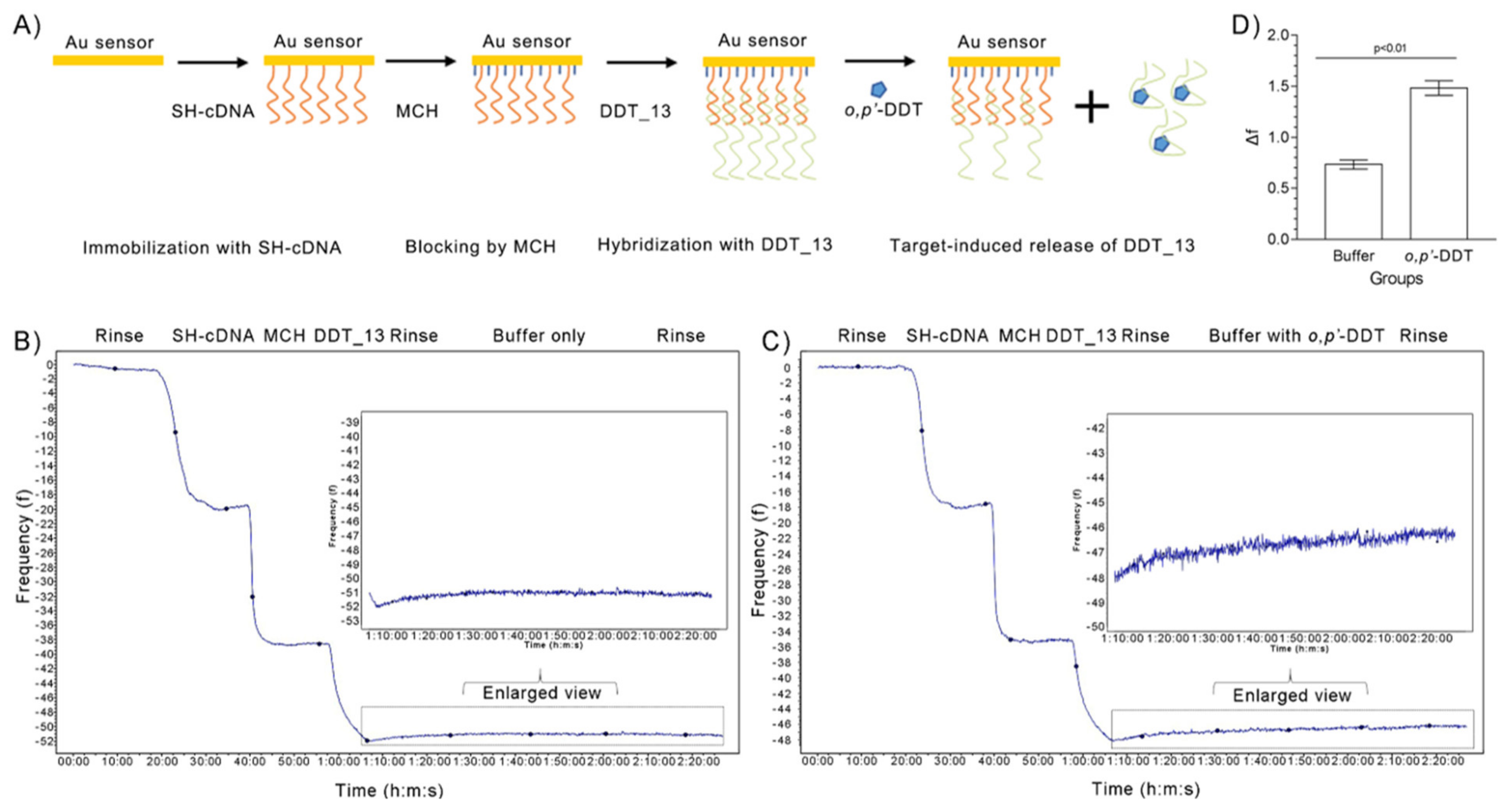 Ijms 21 02211 g004 Ijms 21 02211 g004
