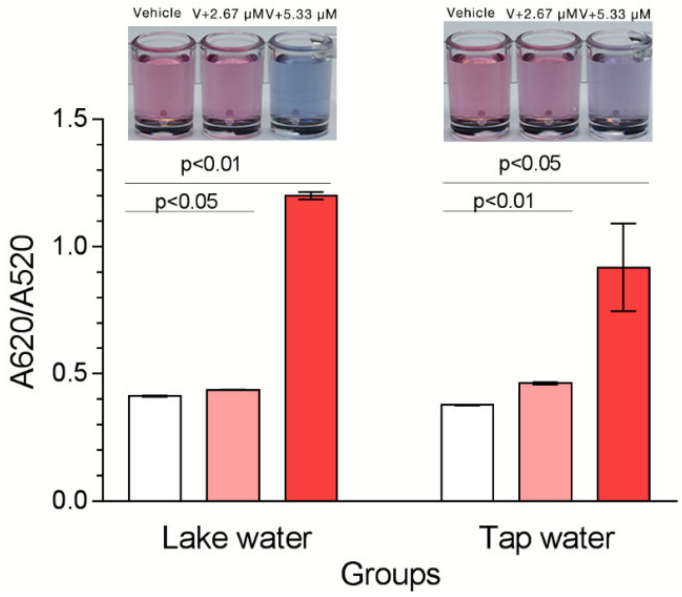 Ijms 21 02211 g007 Ijms 21 02211 g007