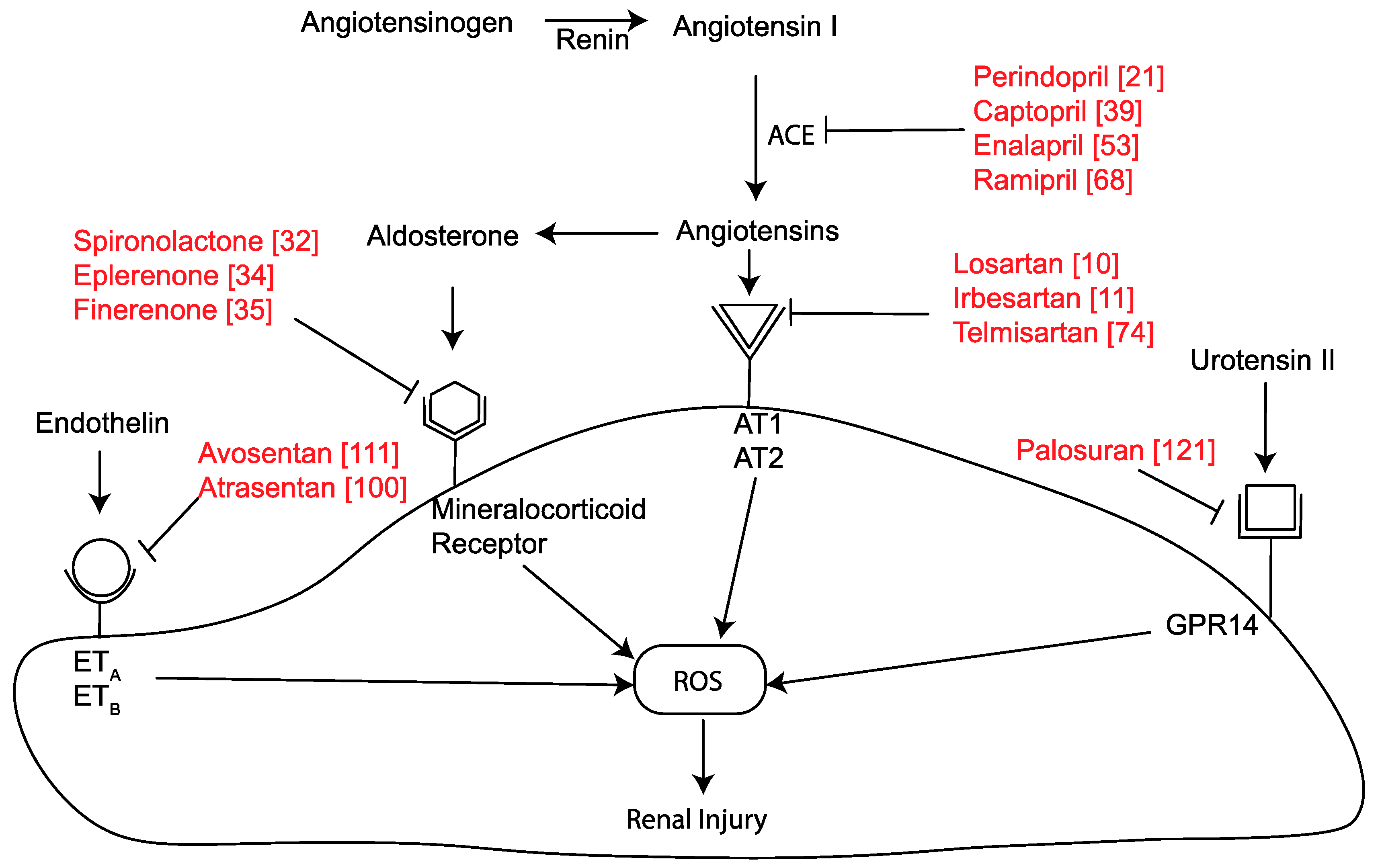 Ijms 21 02218 g001 Ijms 21 02218 g001