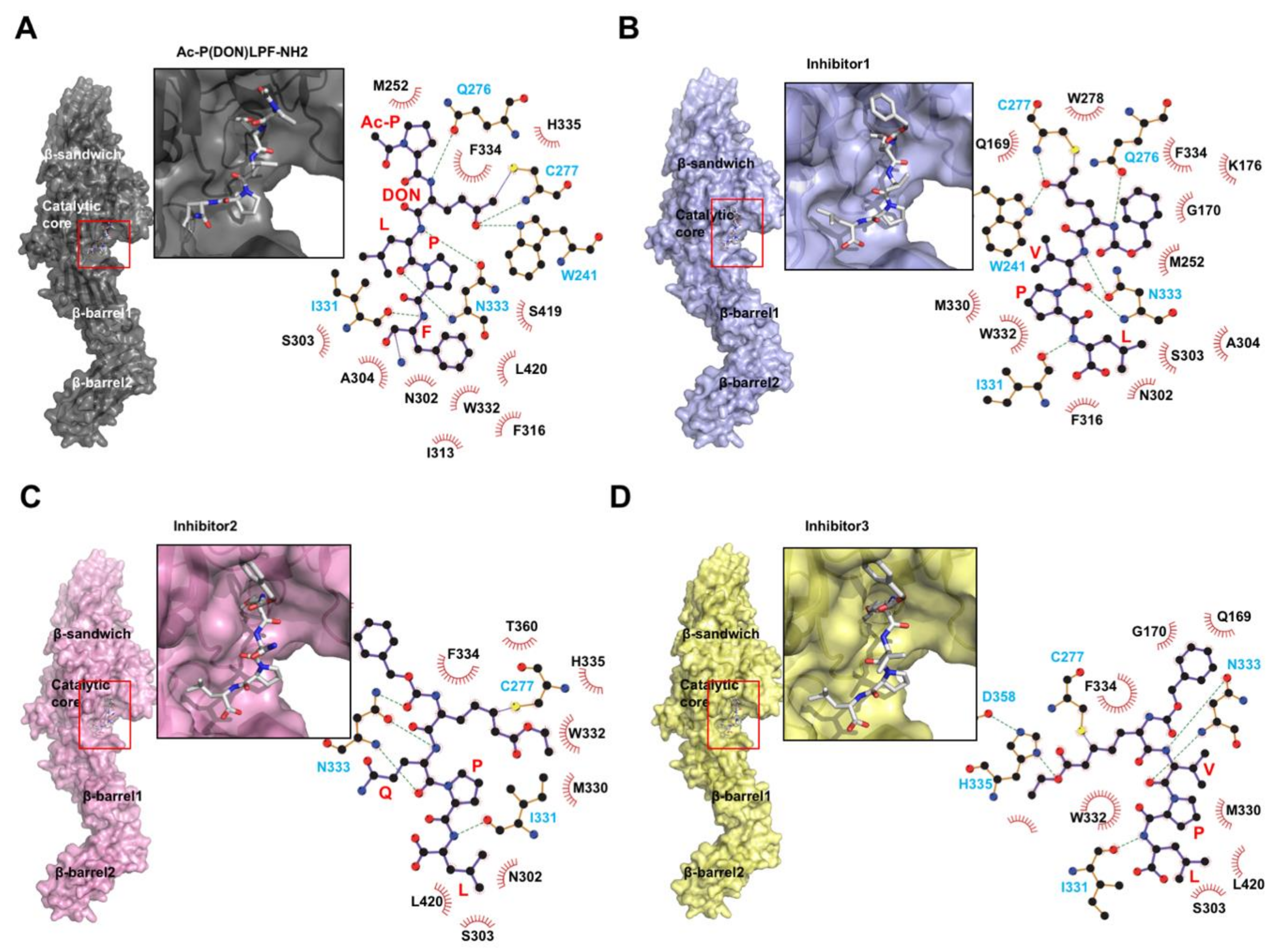 Ijms 21 02225 g003 Ijms 21 02225 g003