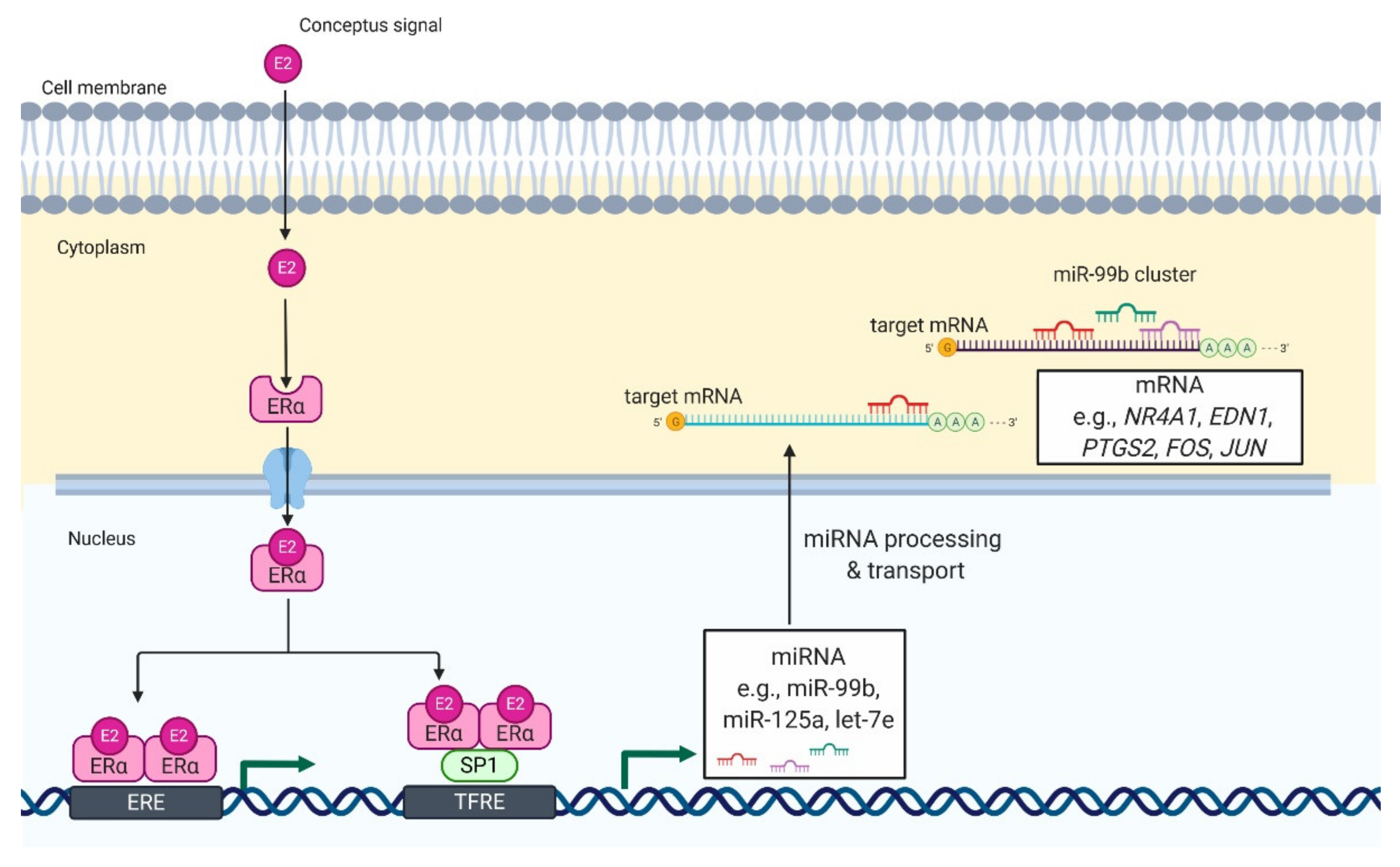 Ijms 21 02229 g002 Ijms 21 02229 g002