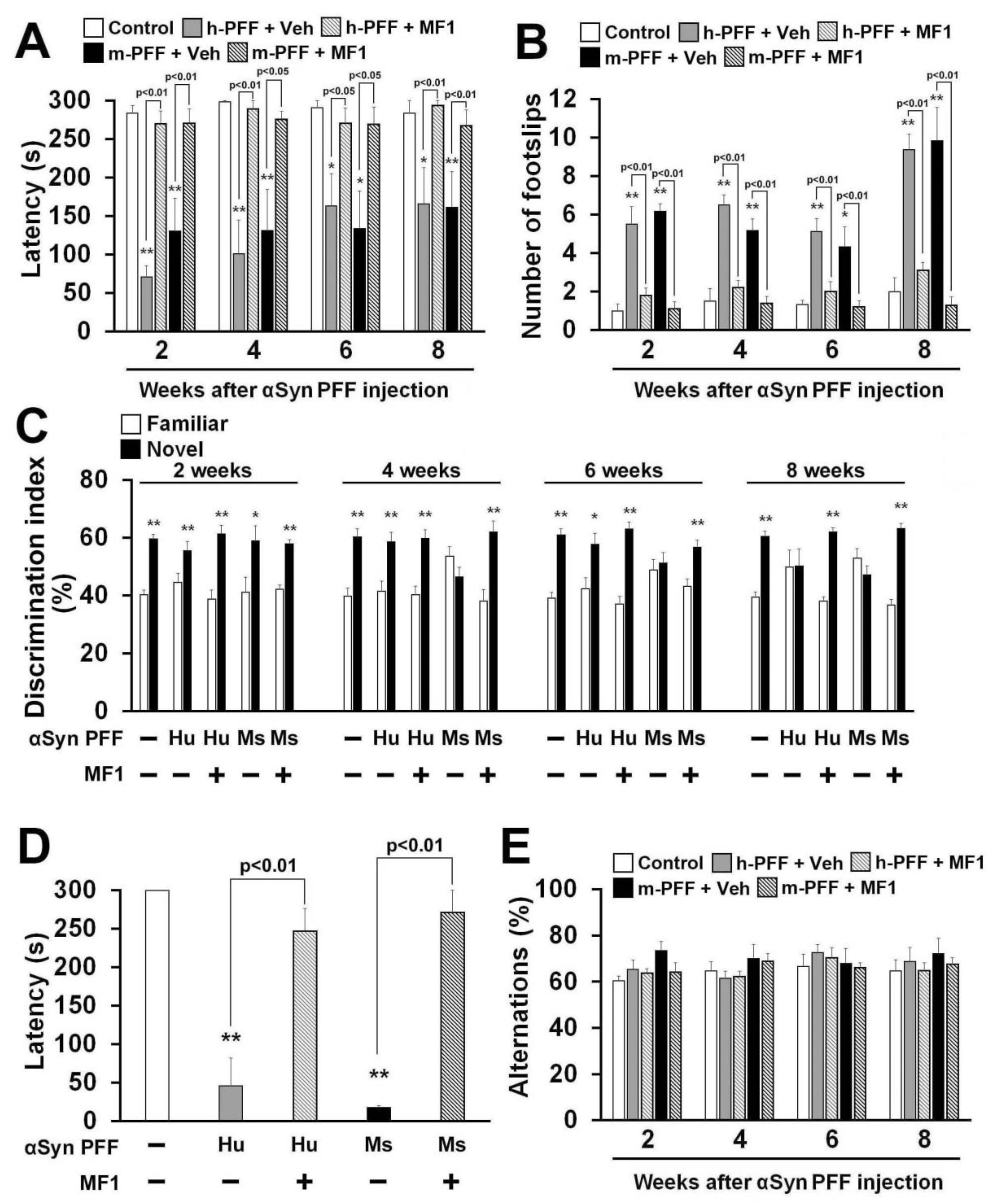 Ijms 21 02230 g006 Ijms 21 02230 g006