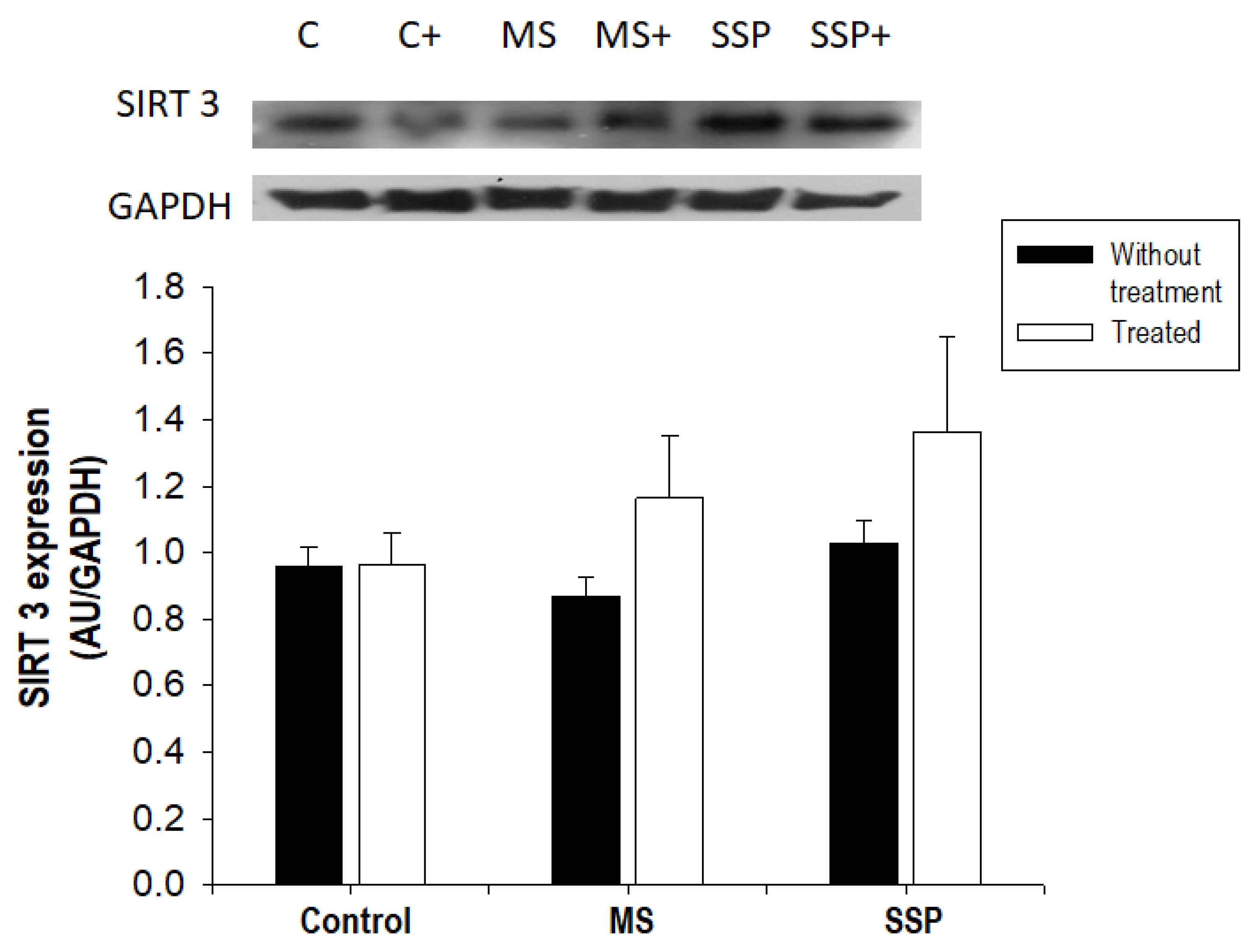 Ijms 21 02231 g008 Ijms 21 02231 g008