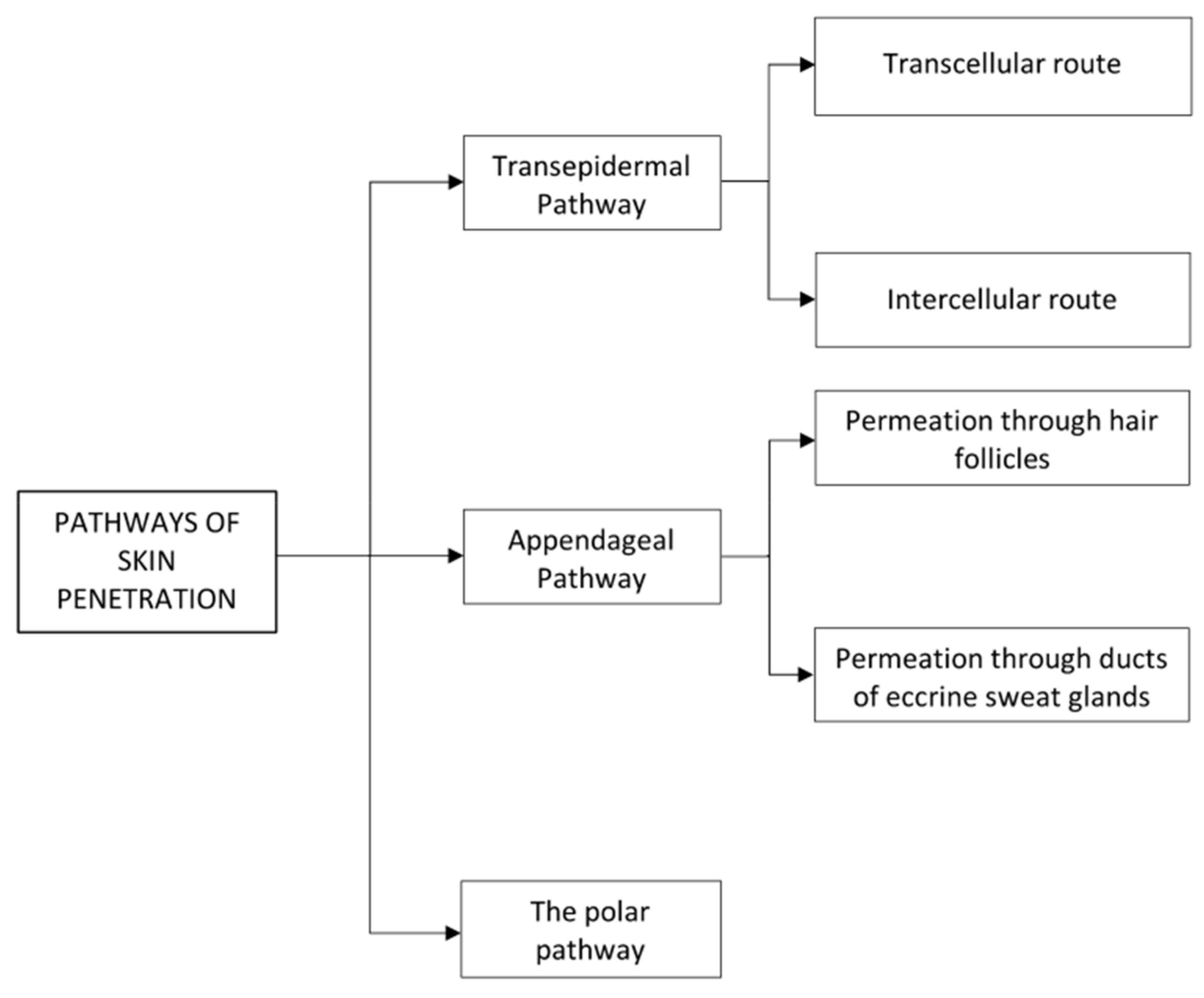 Ijms 21 02251 sch001 Ijms 21 02251 sch001