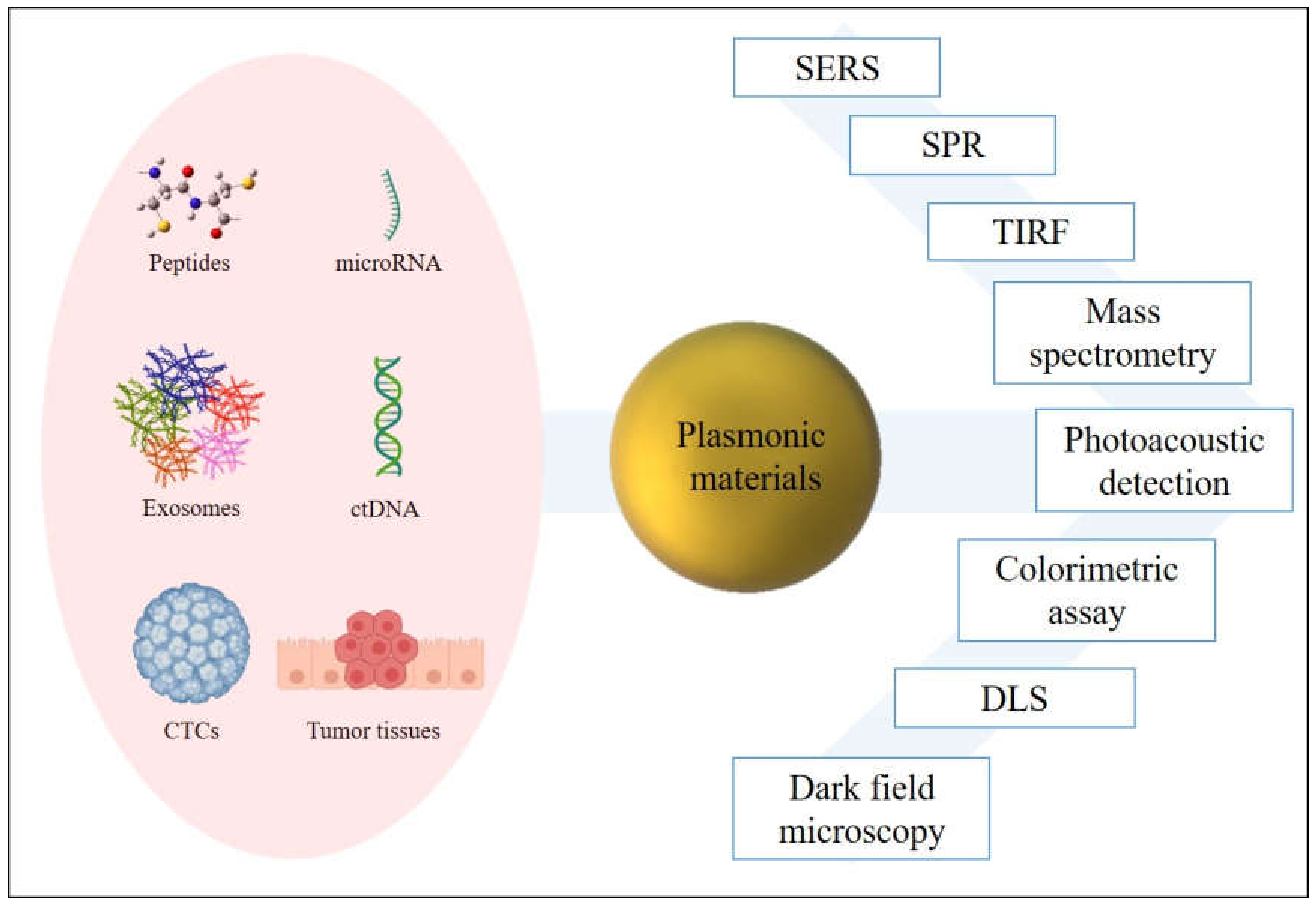 Ijms 21 02253 g002 Ijms 21 02253 g002