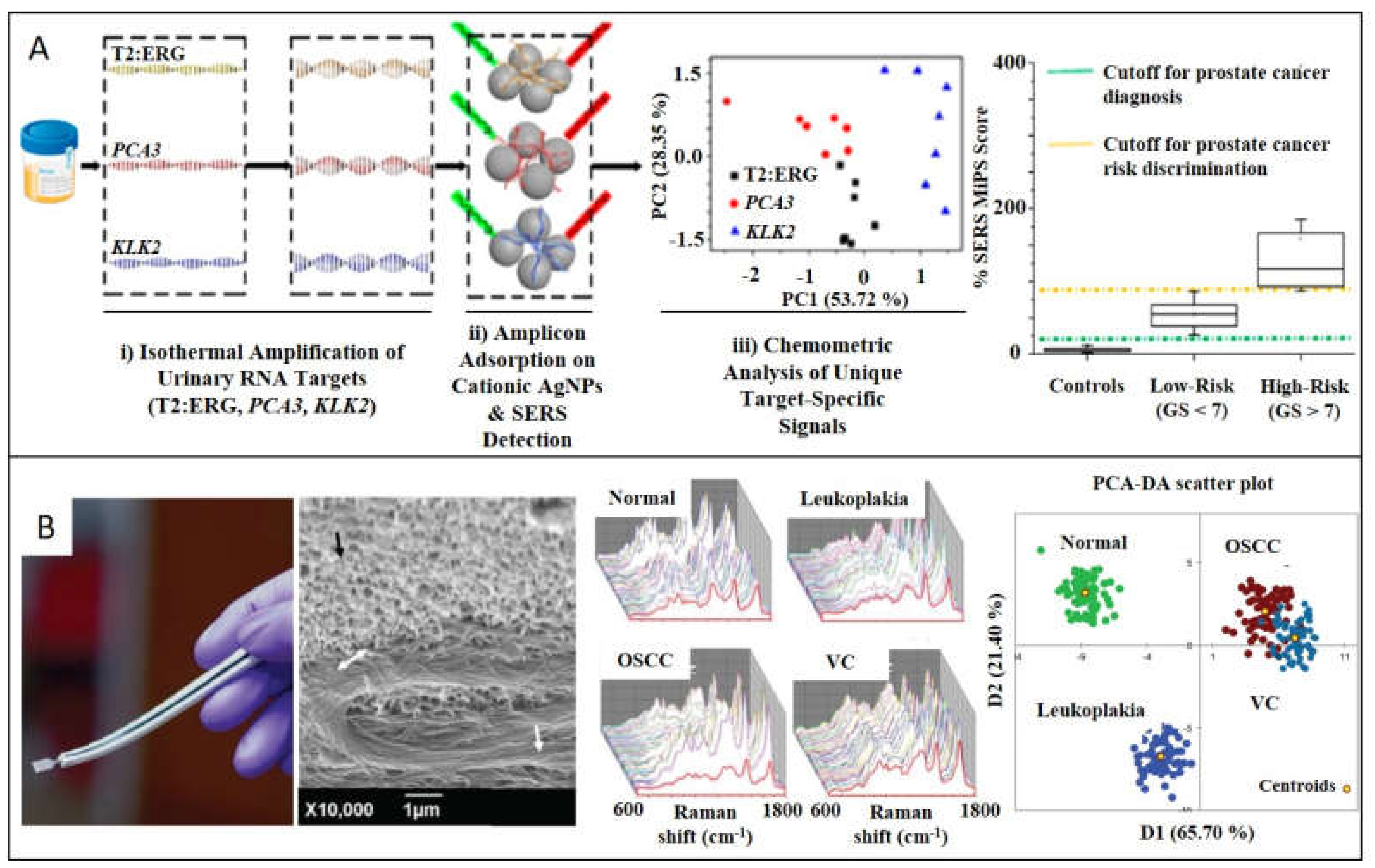 Ijms 21 02253 g003 Ijms 21 02253 g003