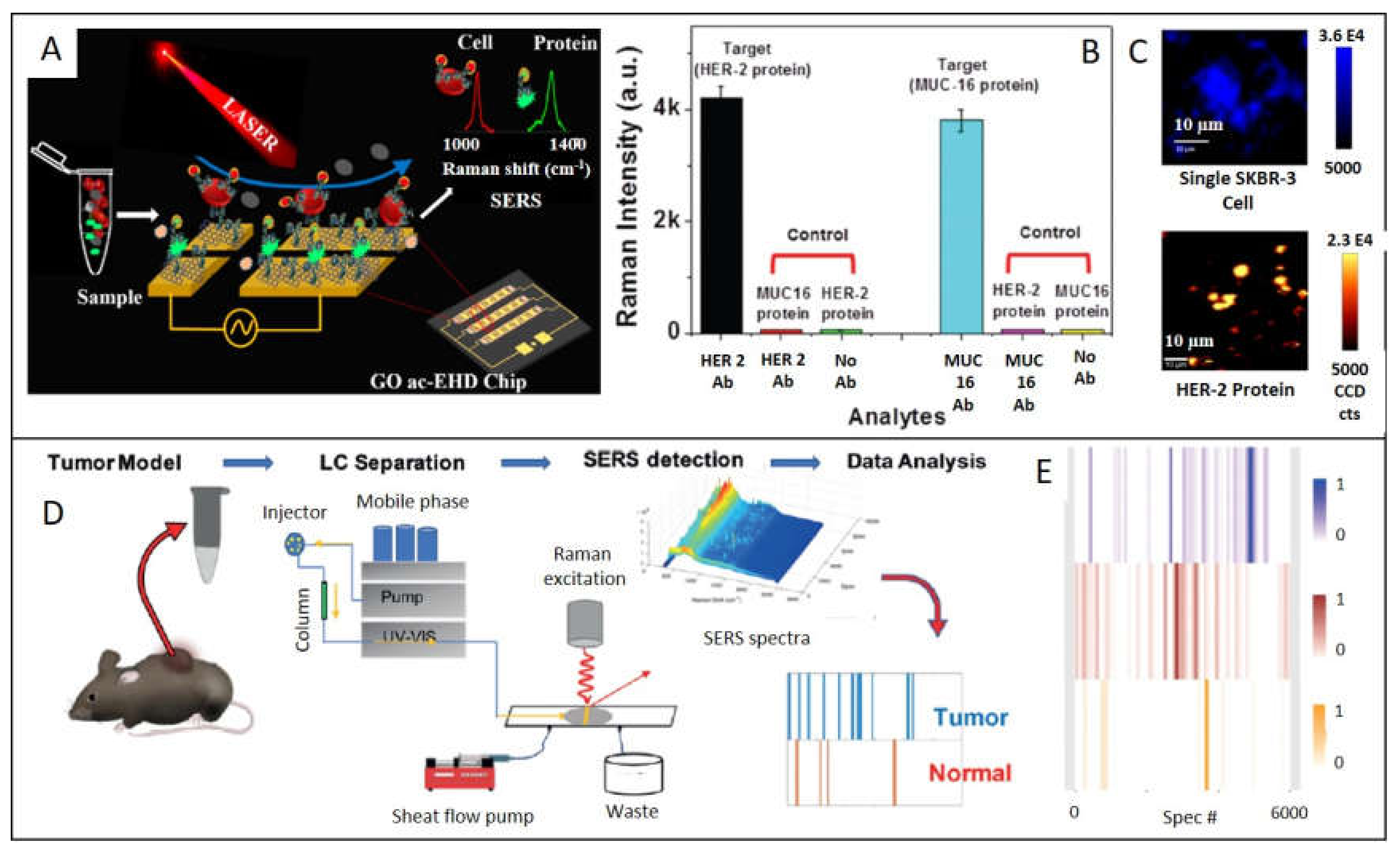 Ijms 21 02253 g005 Ijms 21 02253 g005