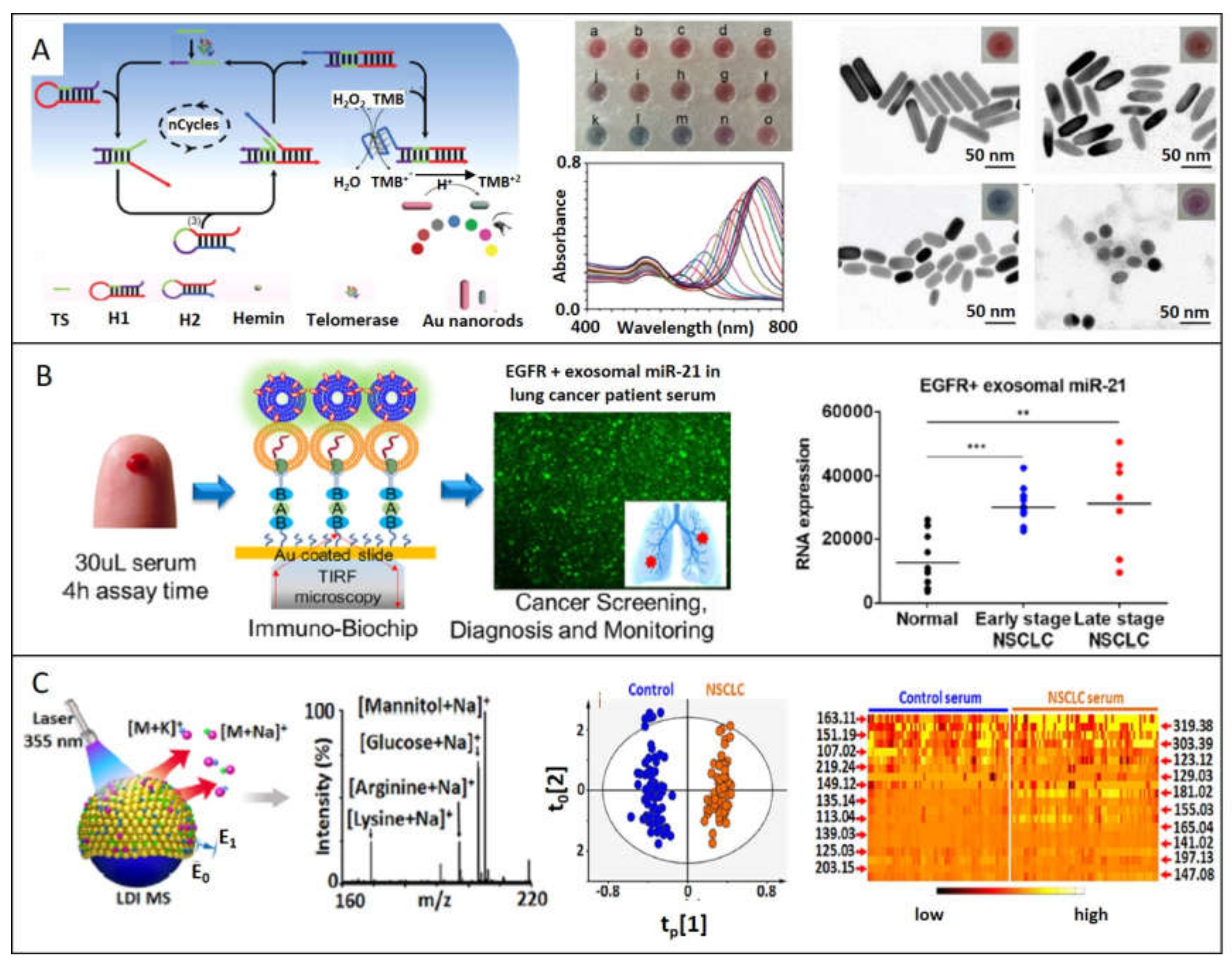 Ijms 21 02253 g006 Ijms 21 02253 g006
