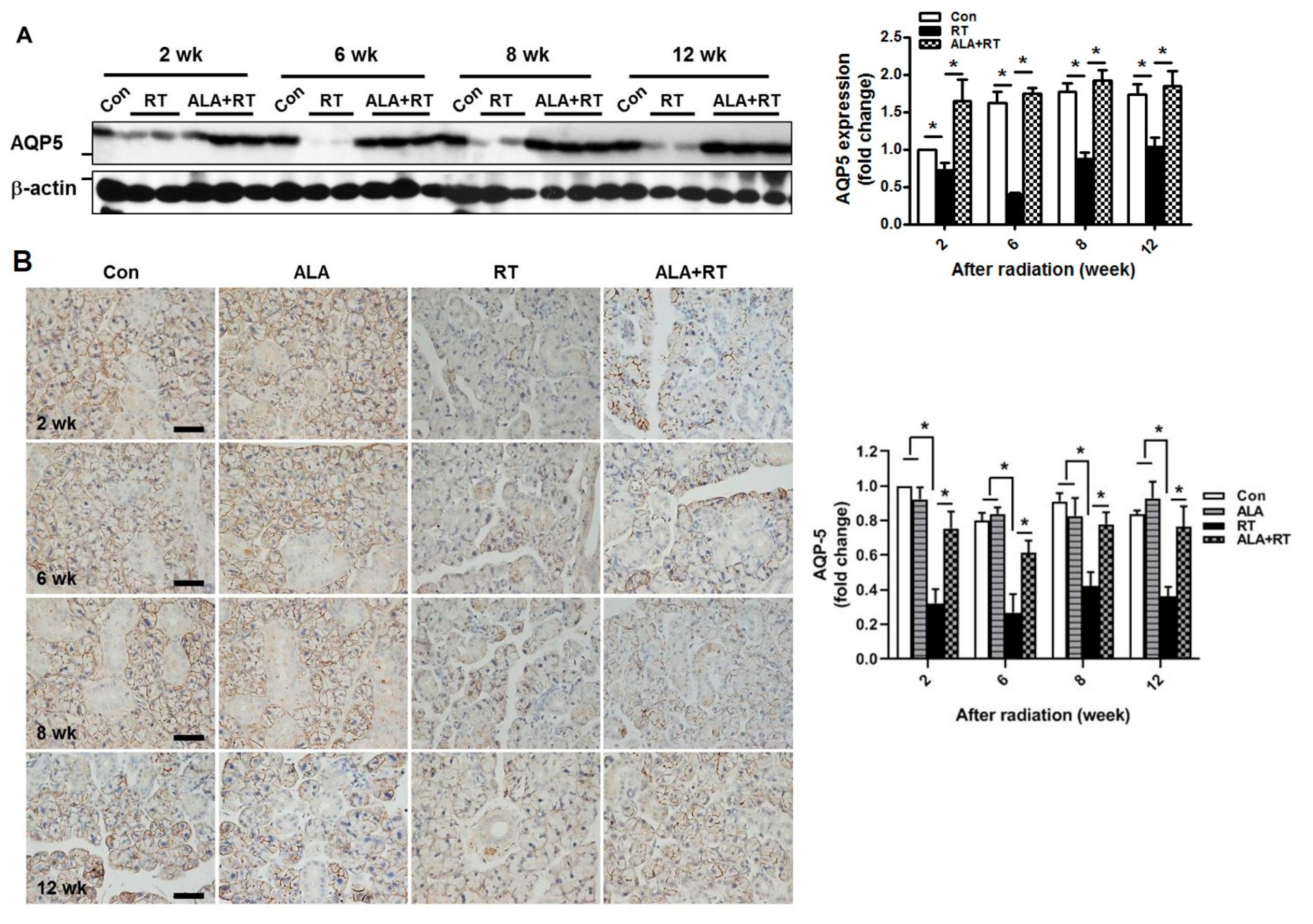 Ijms 21 02260 g002 Ijms 21 02260 g002